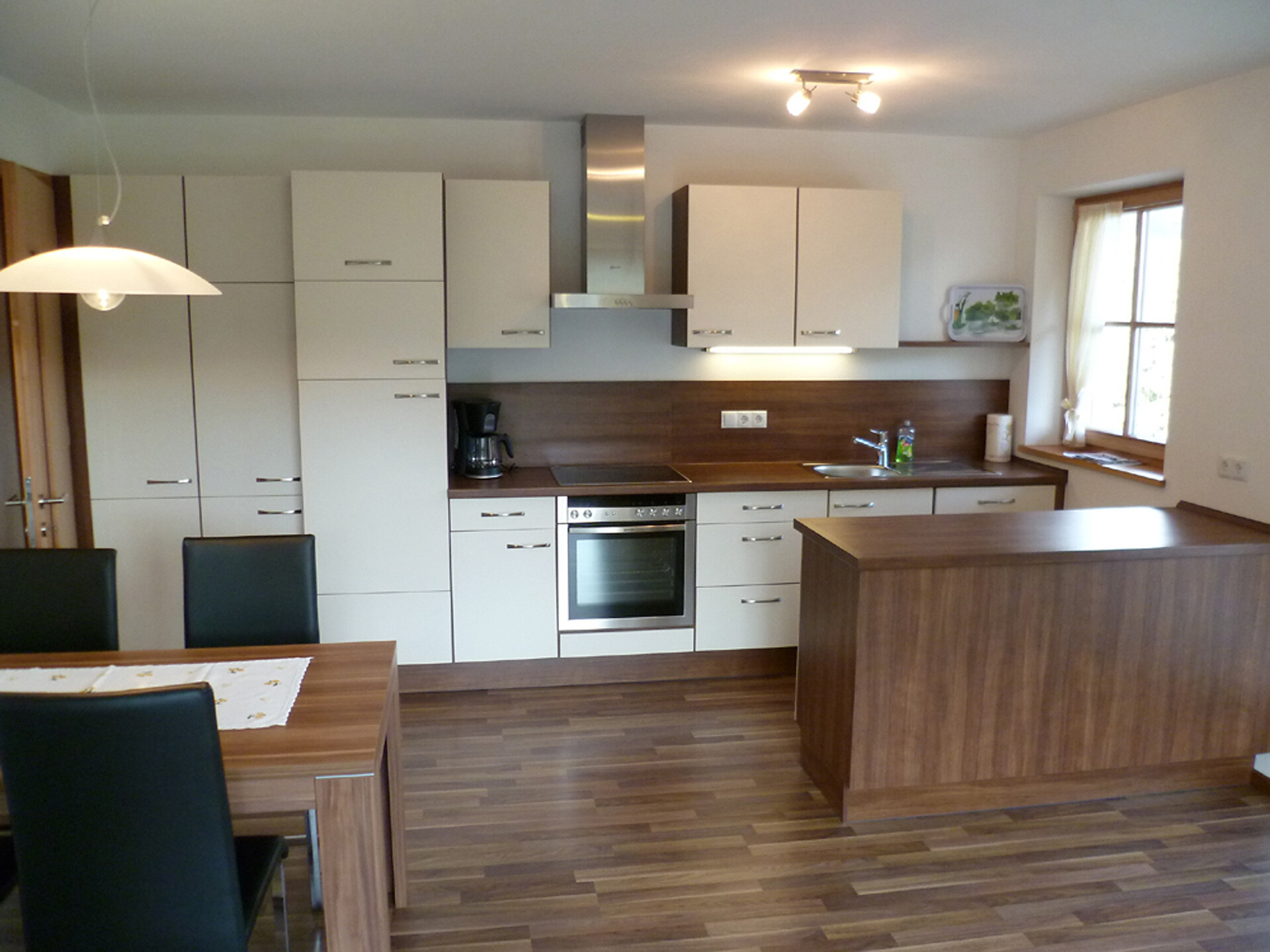 Apartment Santner kitchen