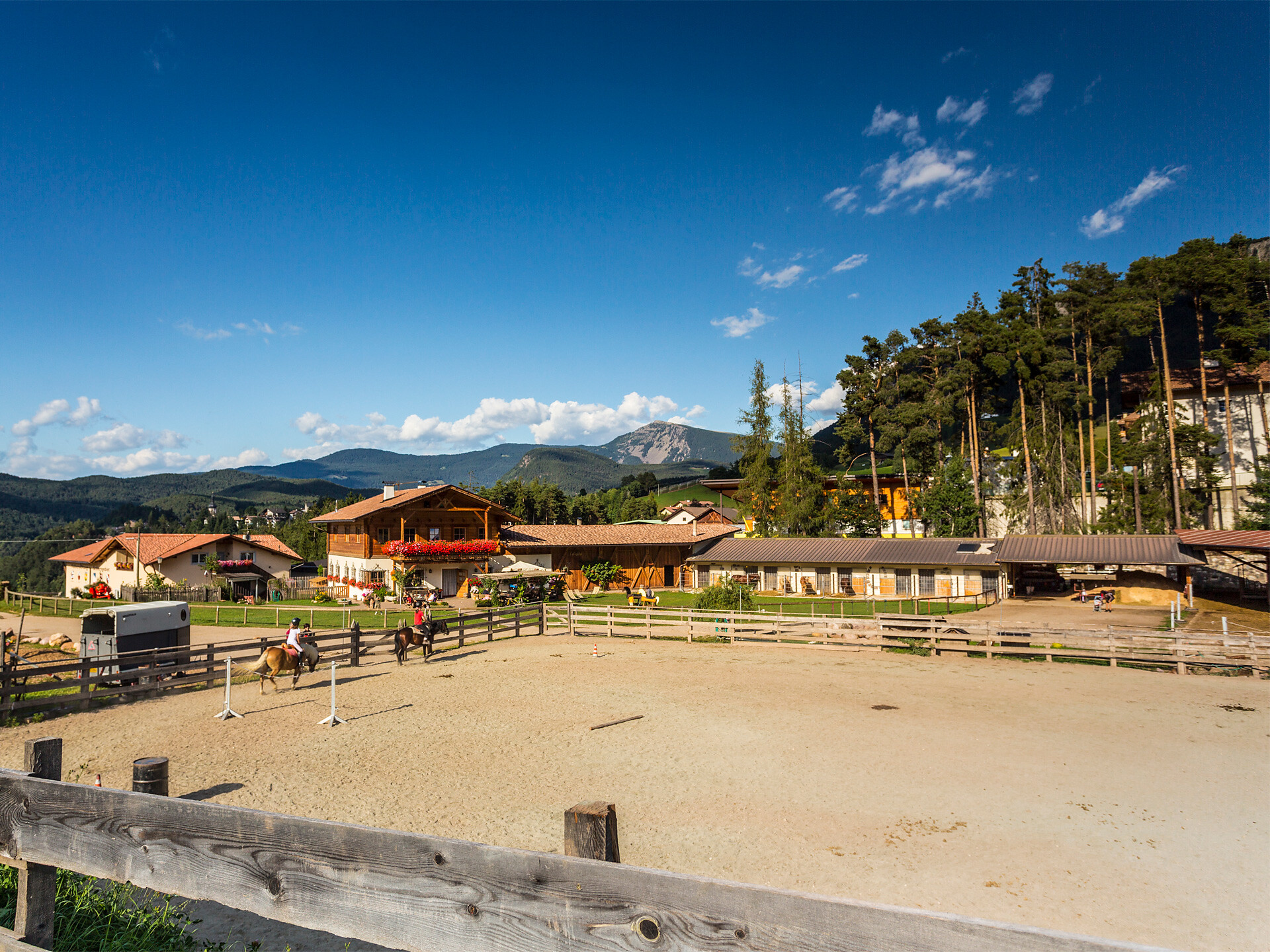 Apartment Santner Parlunkhof riding stables in surrounding area