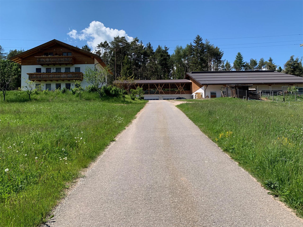 Slide 8