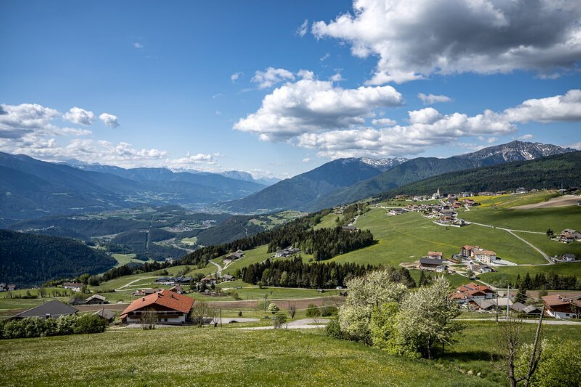 Panorama