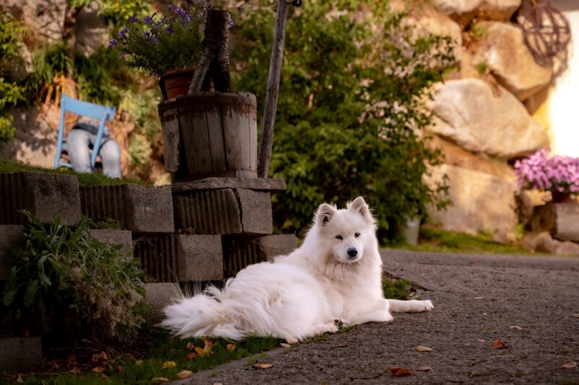 Lumi