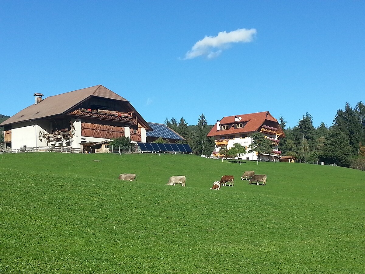 Feichtnerhof