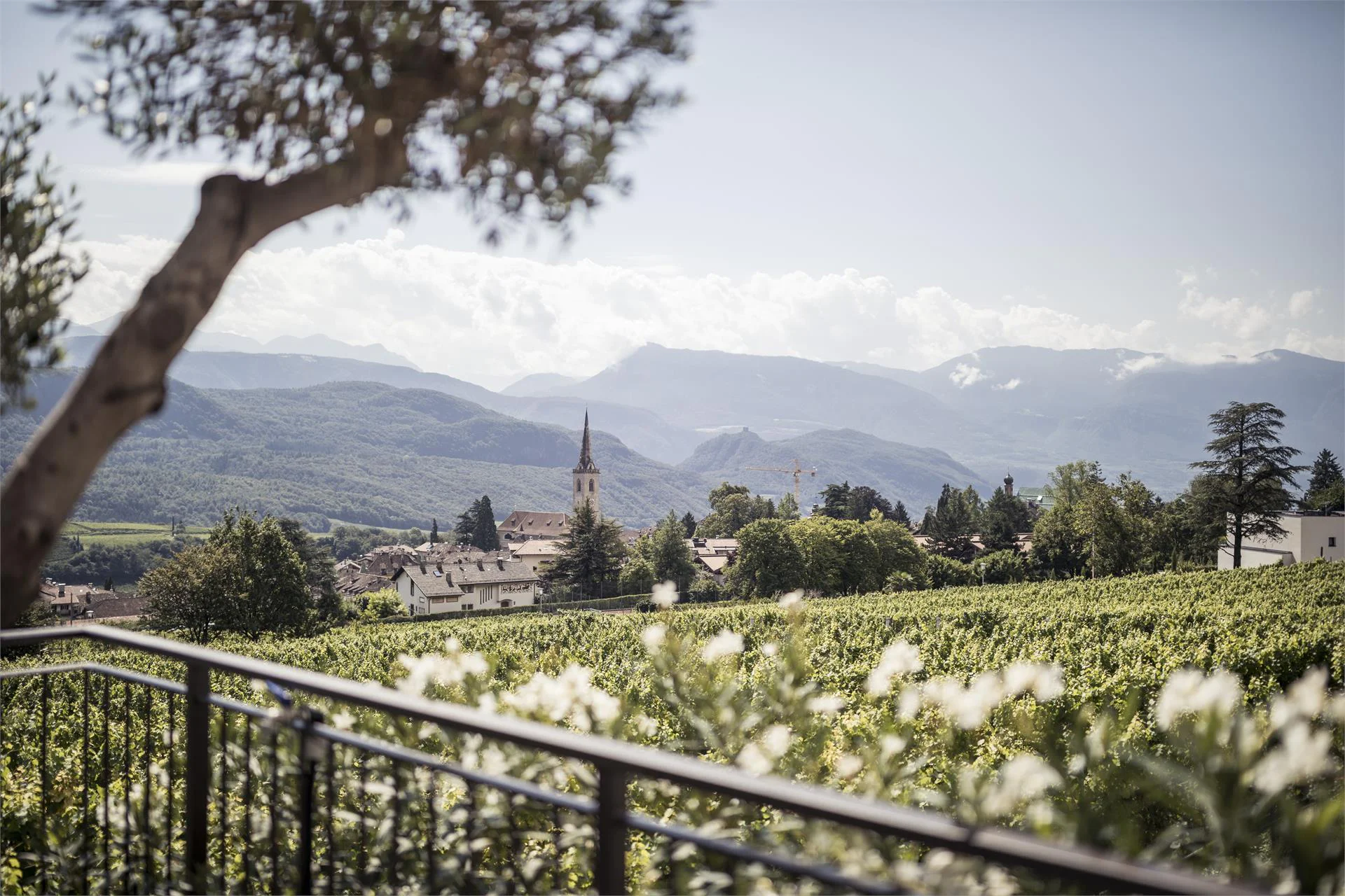 Felderer Boutiquehotel Caldaro sulla Strada del Vino 18 suedtirol.info