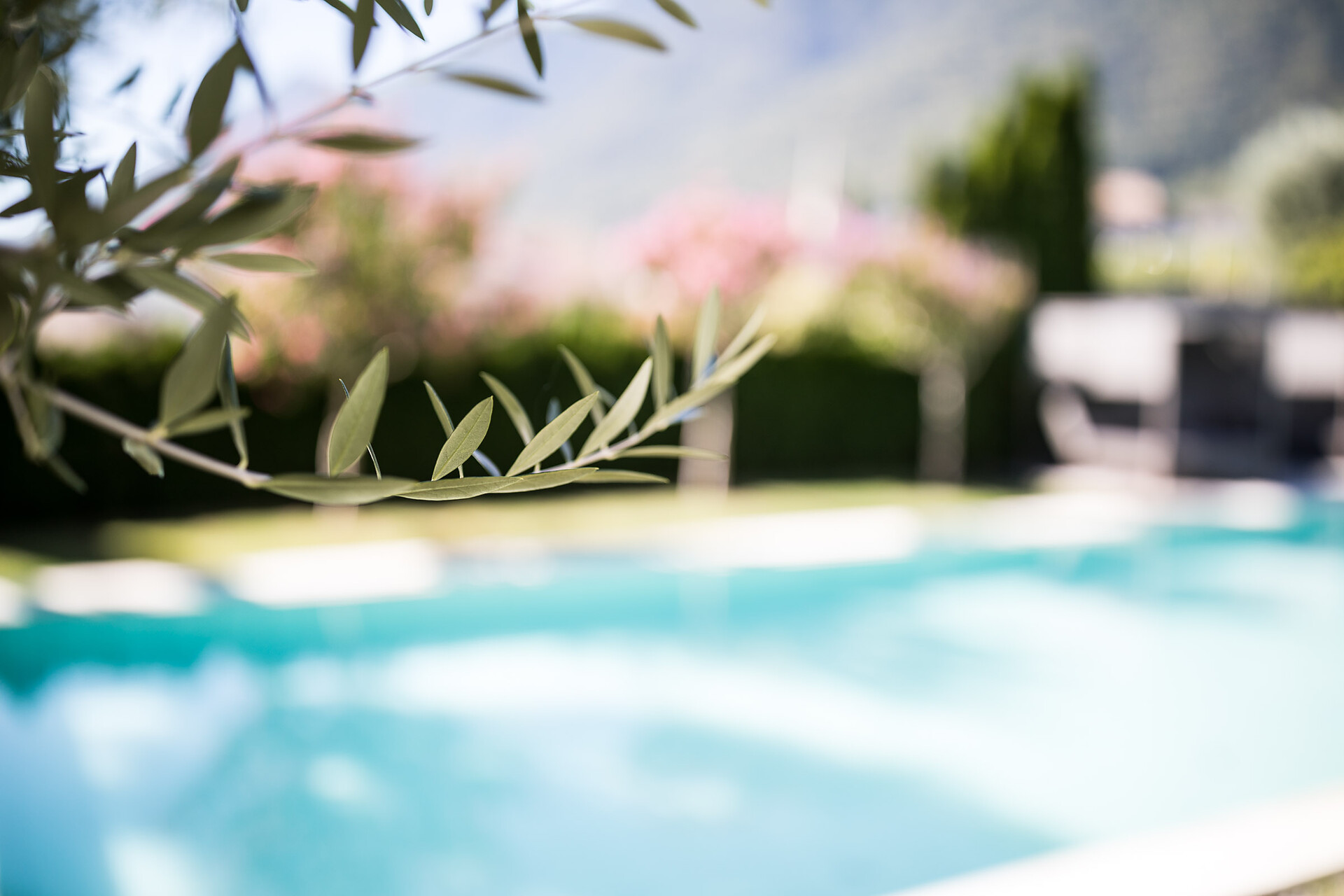Felderer Boutiquehotel Kaltern an der Weinstraße 7 suedtirol.info