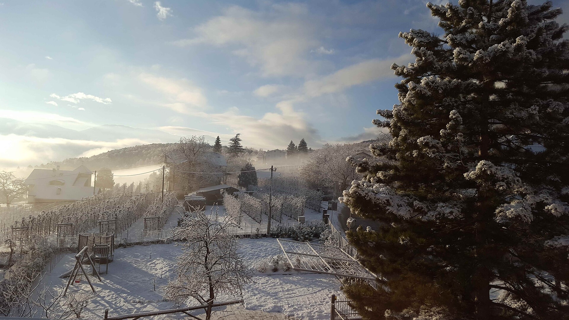 Winter