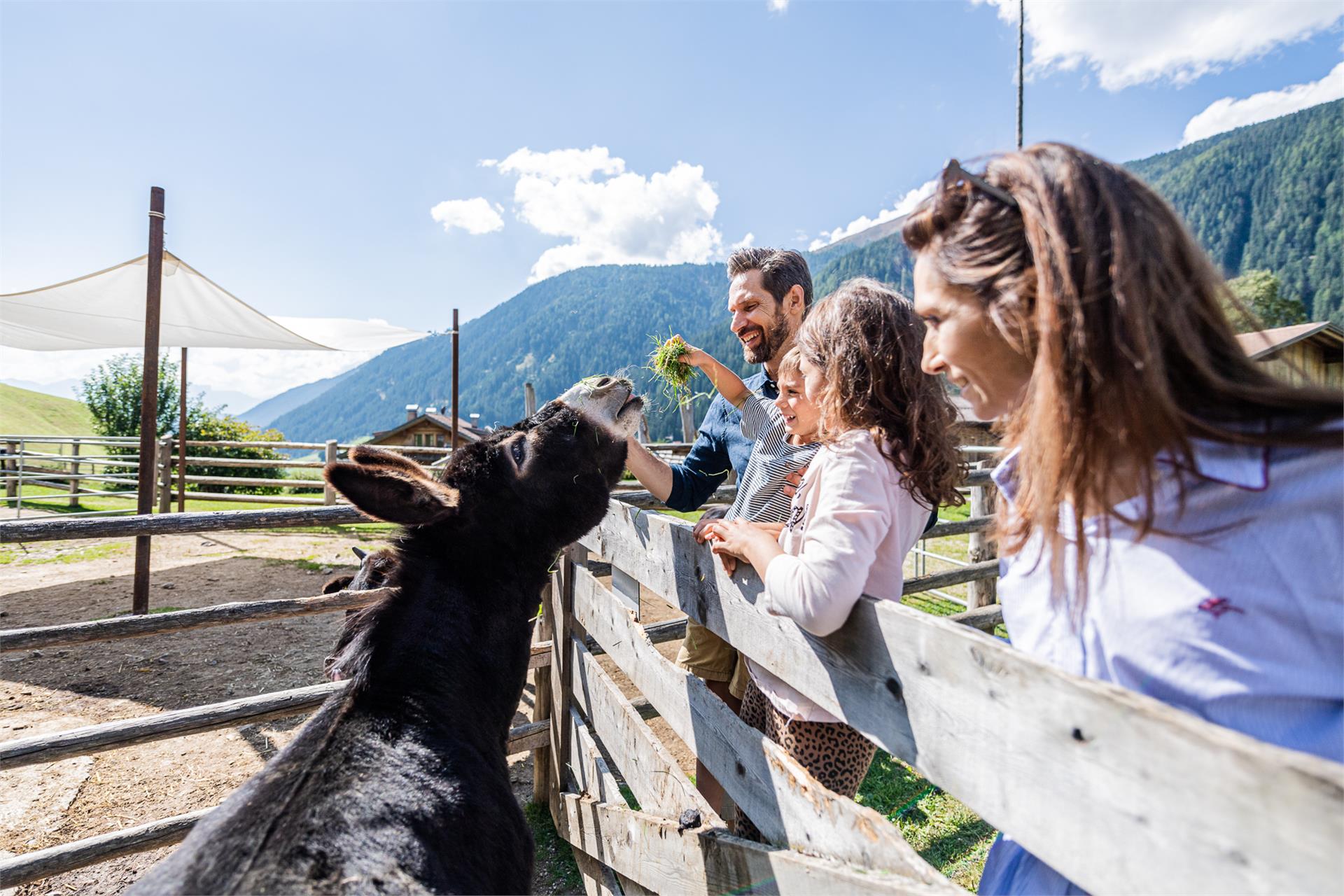 Fameli Olang 14 suedtirol.info