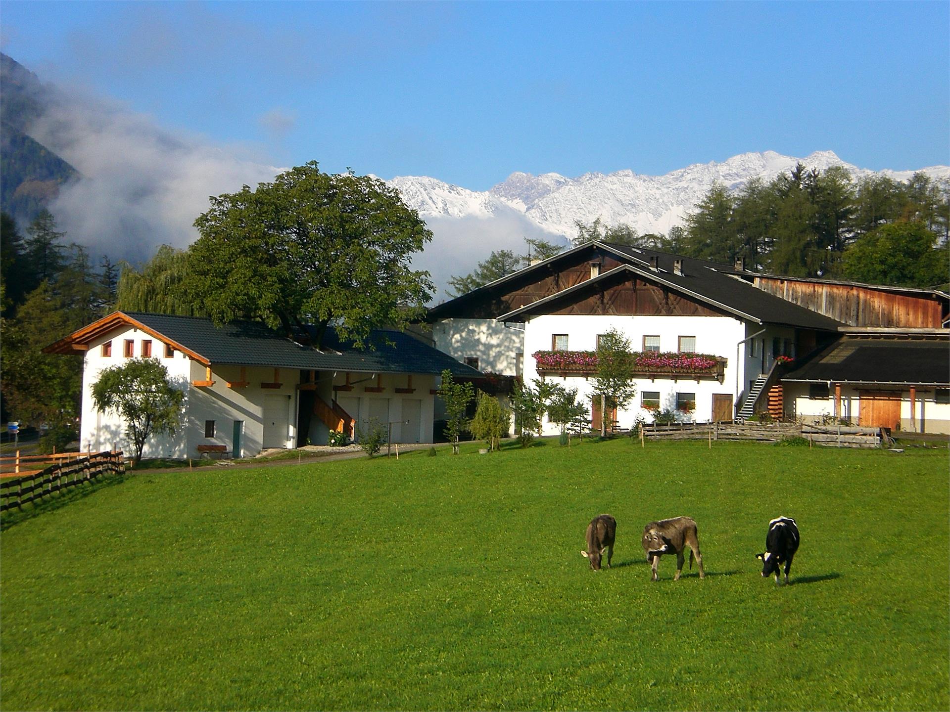 Fiechterhof Freienfeld 1 suedtirol.info
