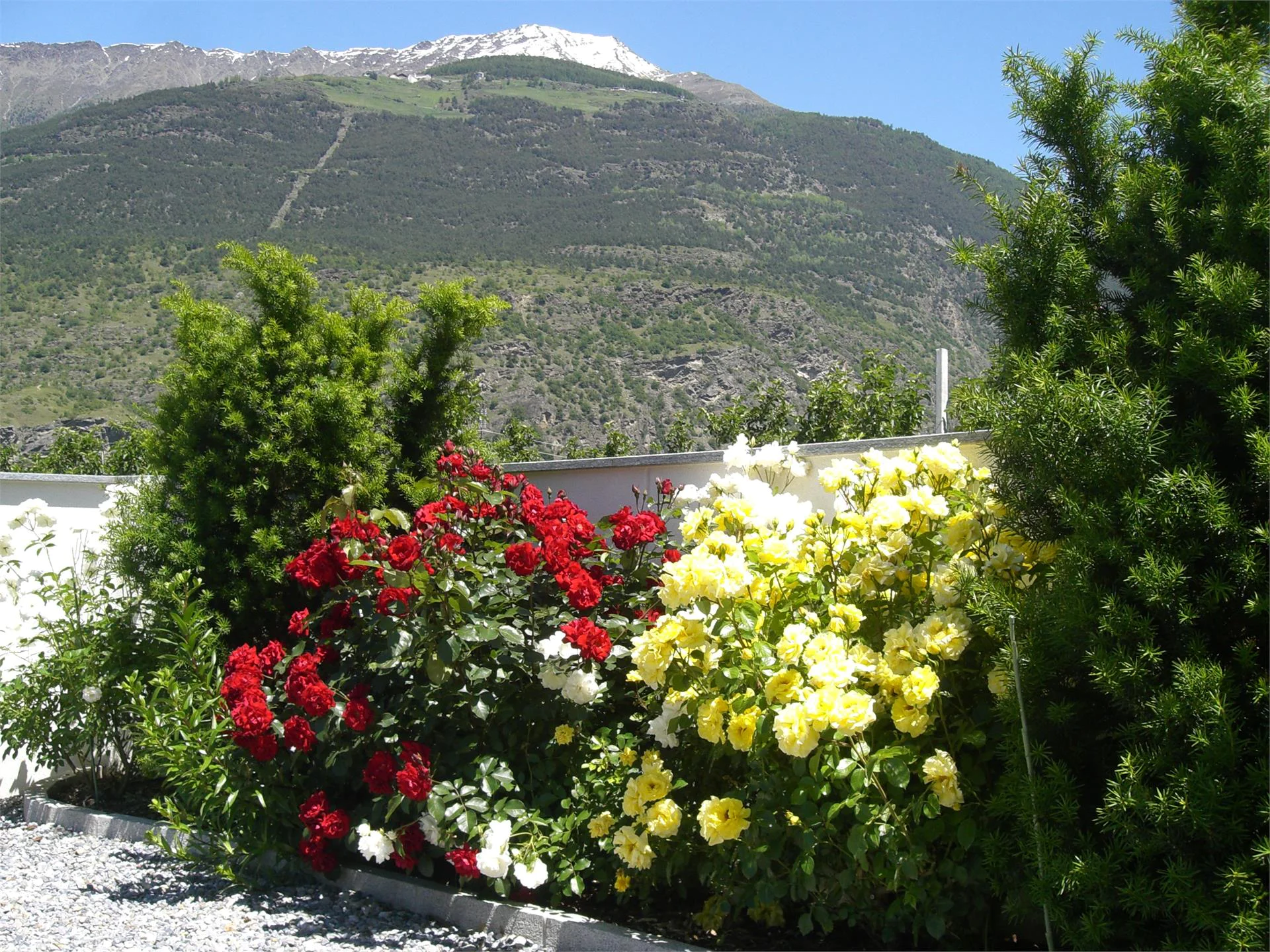 Appartamenti Heiligenhof Laces 6 suedtirol.info