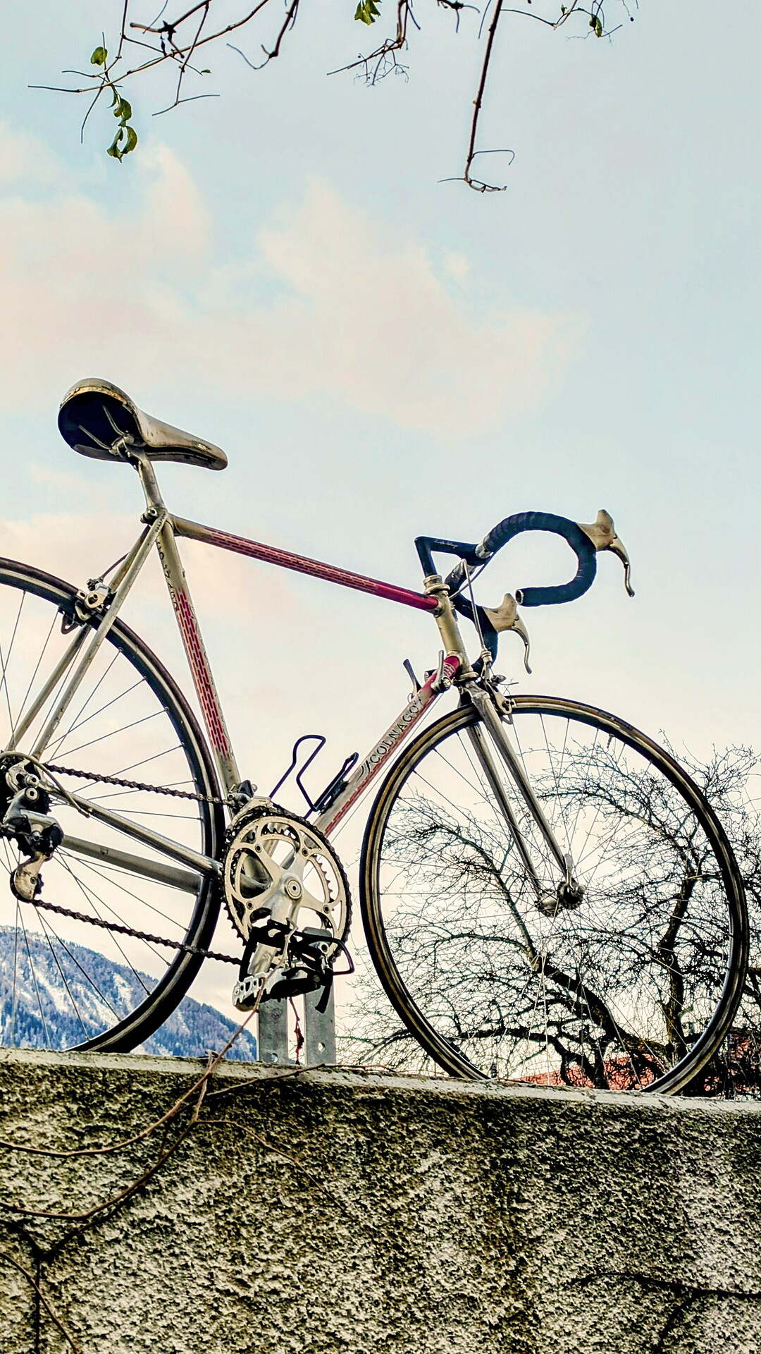A stylish tribute to all those traveling by bike: the image shows a vintage Colnago racing bike, per