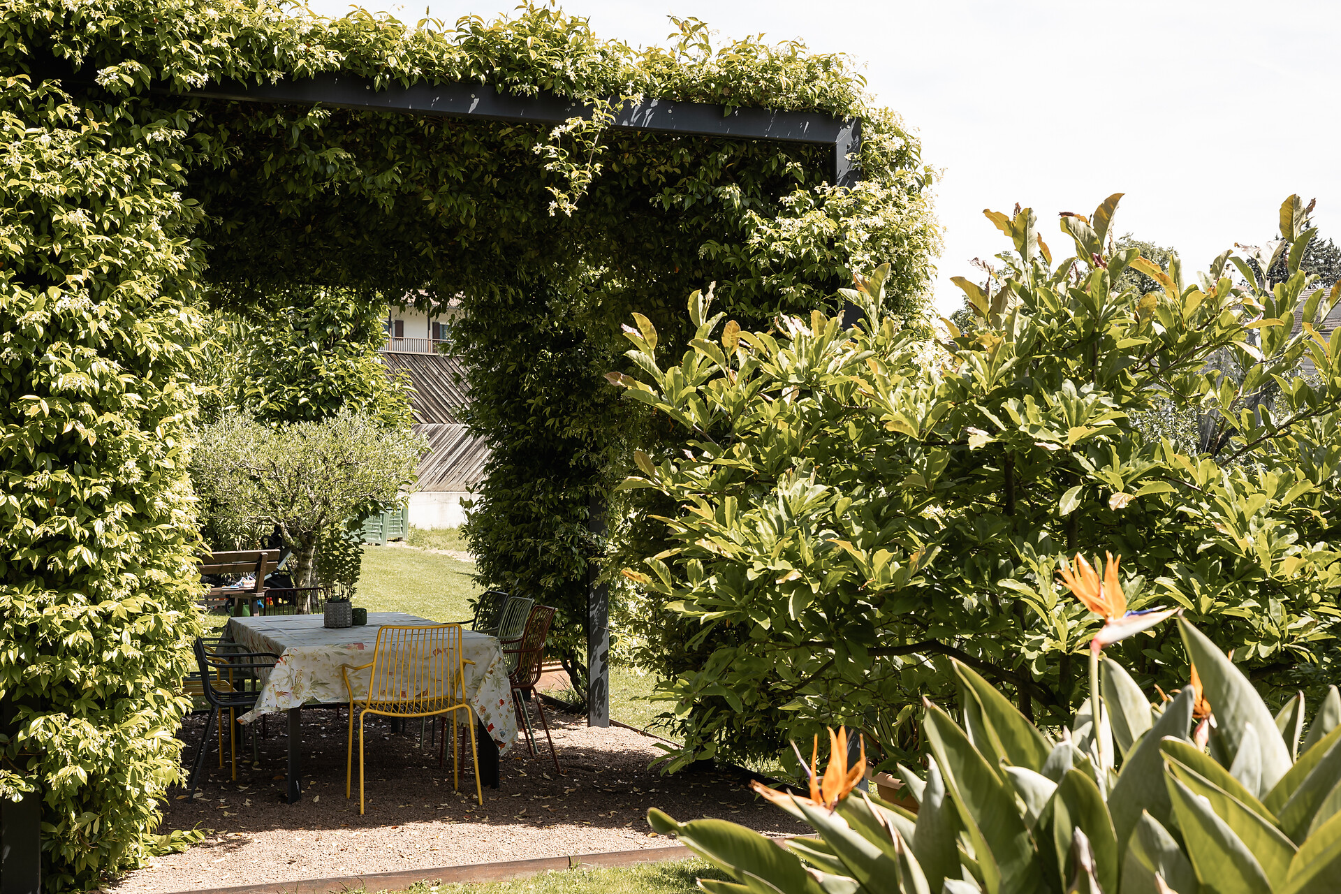 Giardino
