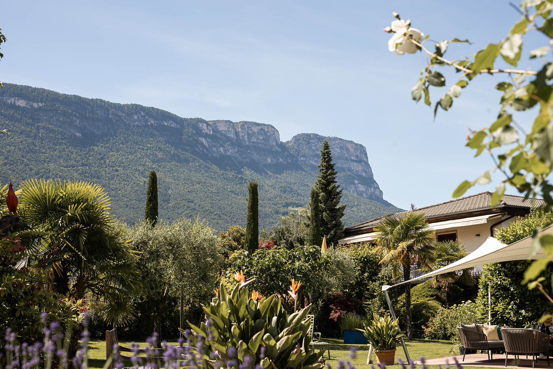 Giardino