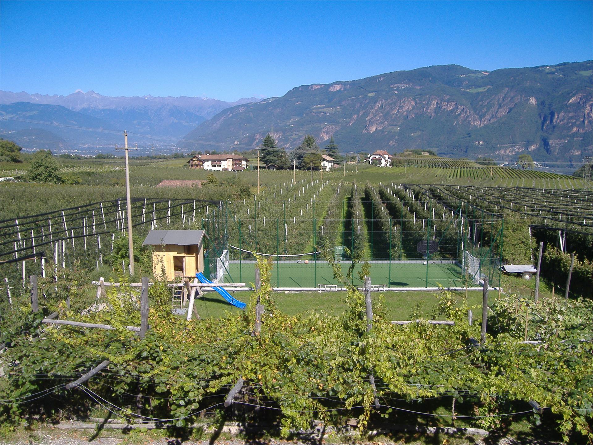 Fasslhof Eppan an der Weinstraße 13 suedtirol.info