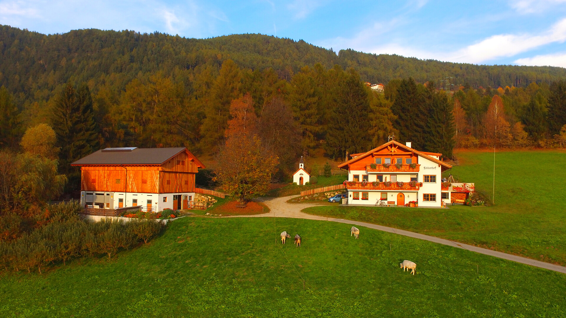 Felderhof Bruneck 2 suedtirol.info