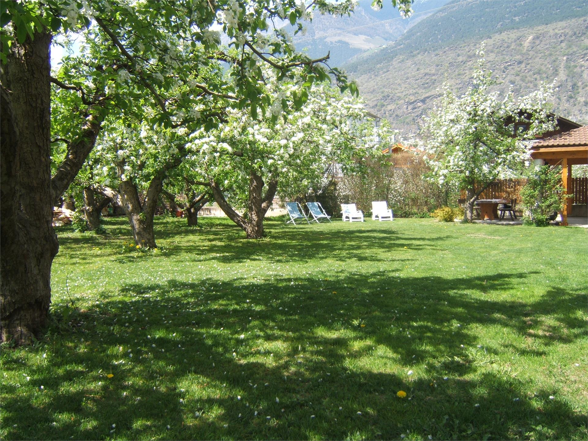 Ferienwohnungen Trafoier/Wielander Latsch 20 suedtirol.info