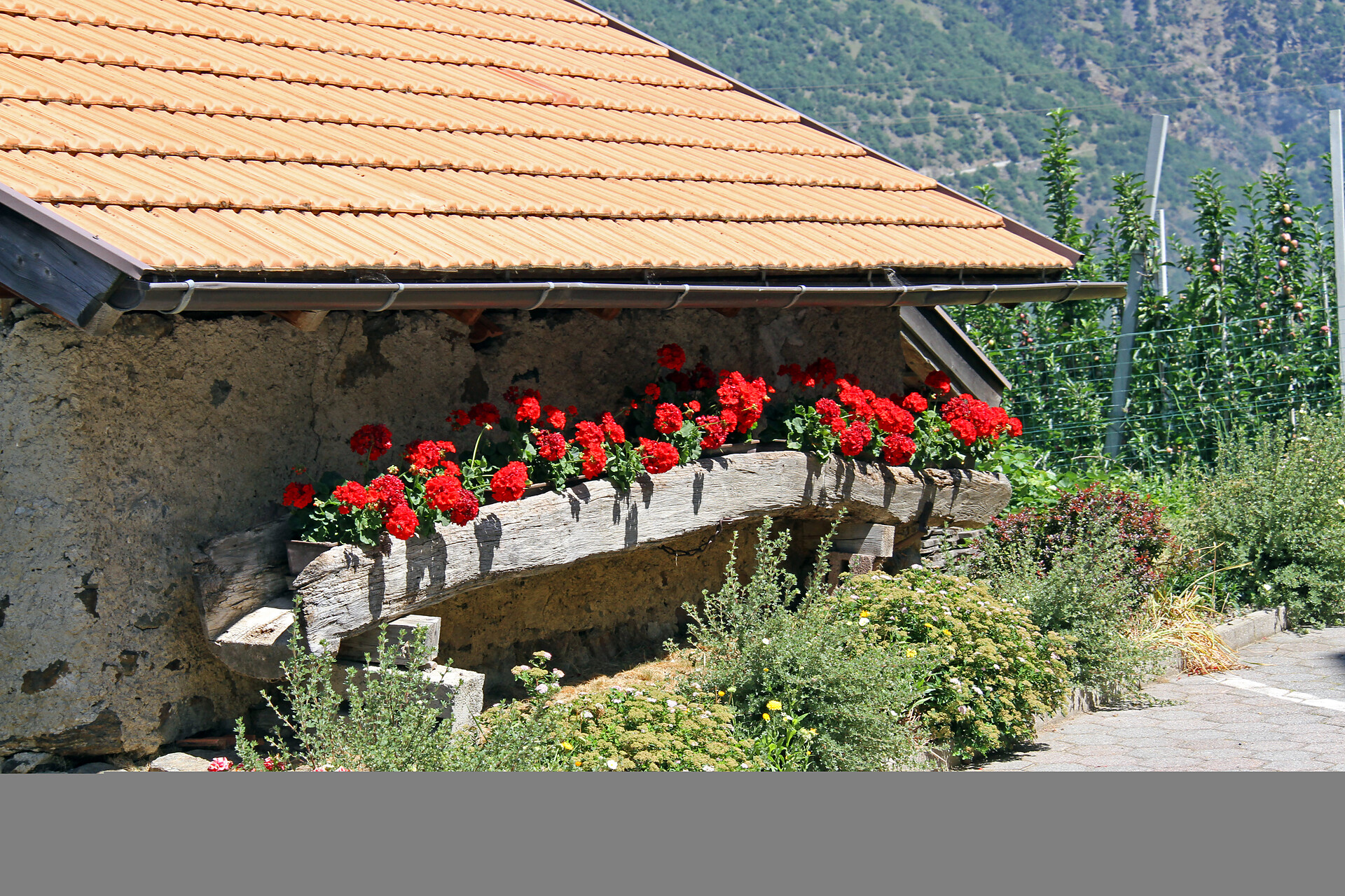 Appartamenti  Mühlrast - Vinschgau/Val Venosta - #3 - suedtirol.info