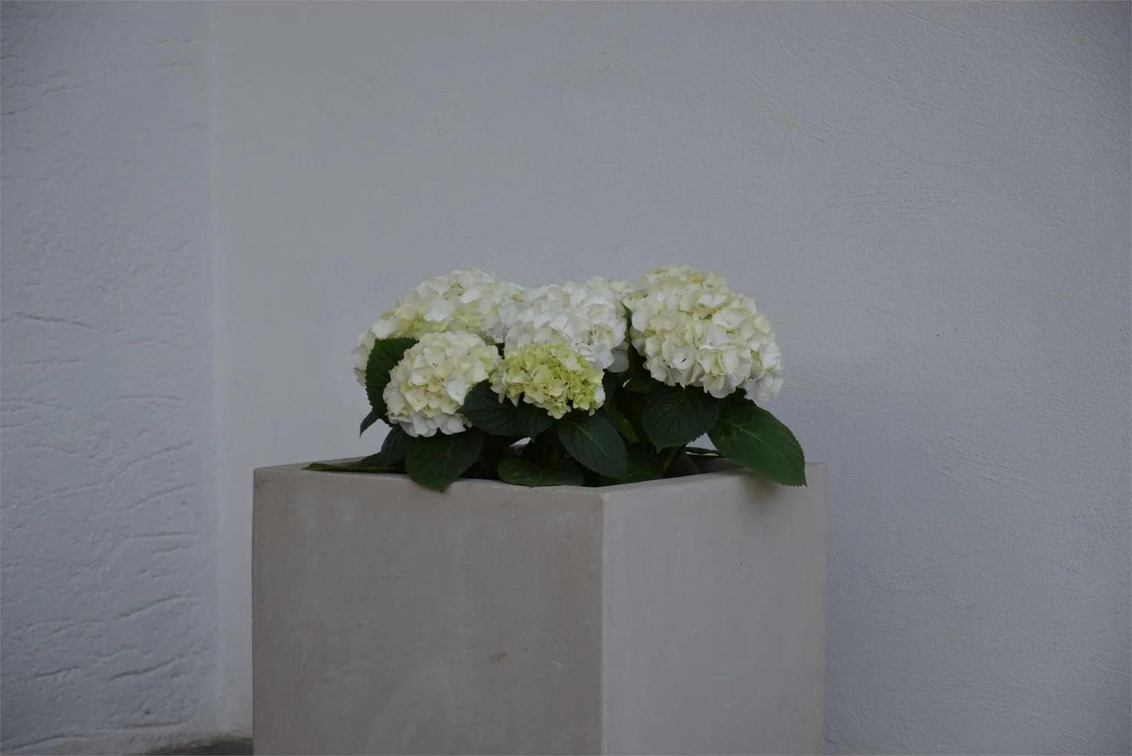 Slide 4