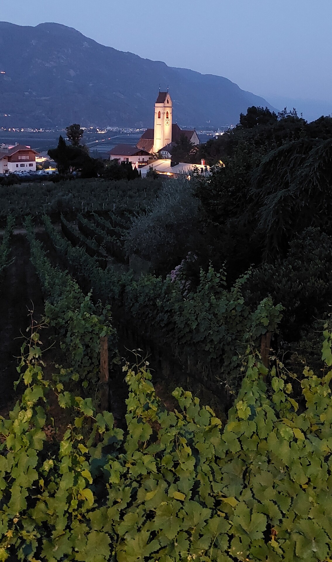 Marling und Umgebung in Abendstimmung