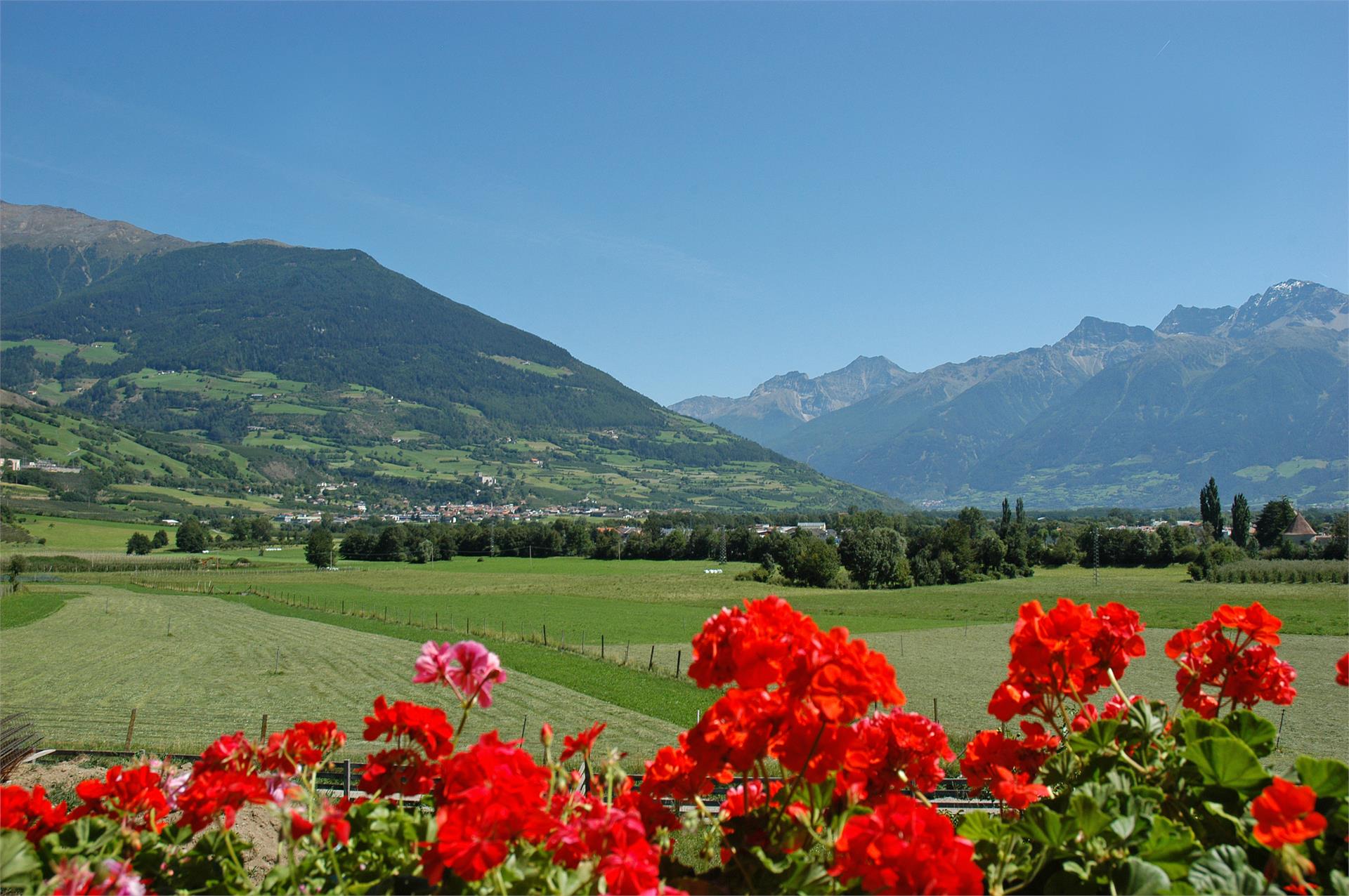 Appartamenti Rainalter Glorenza 2 suedtirol.info