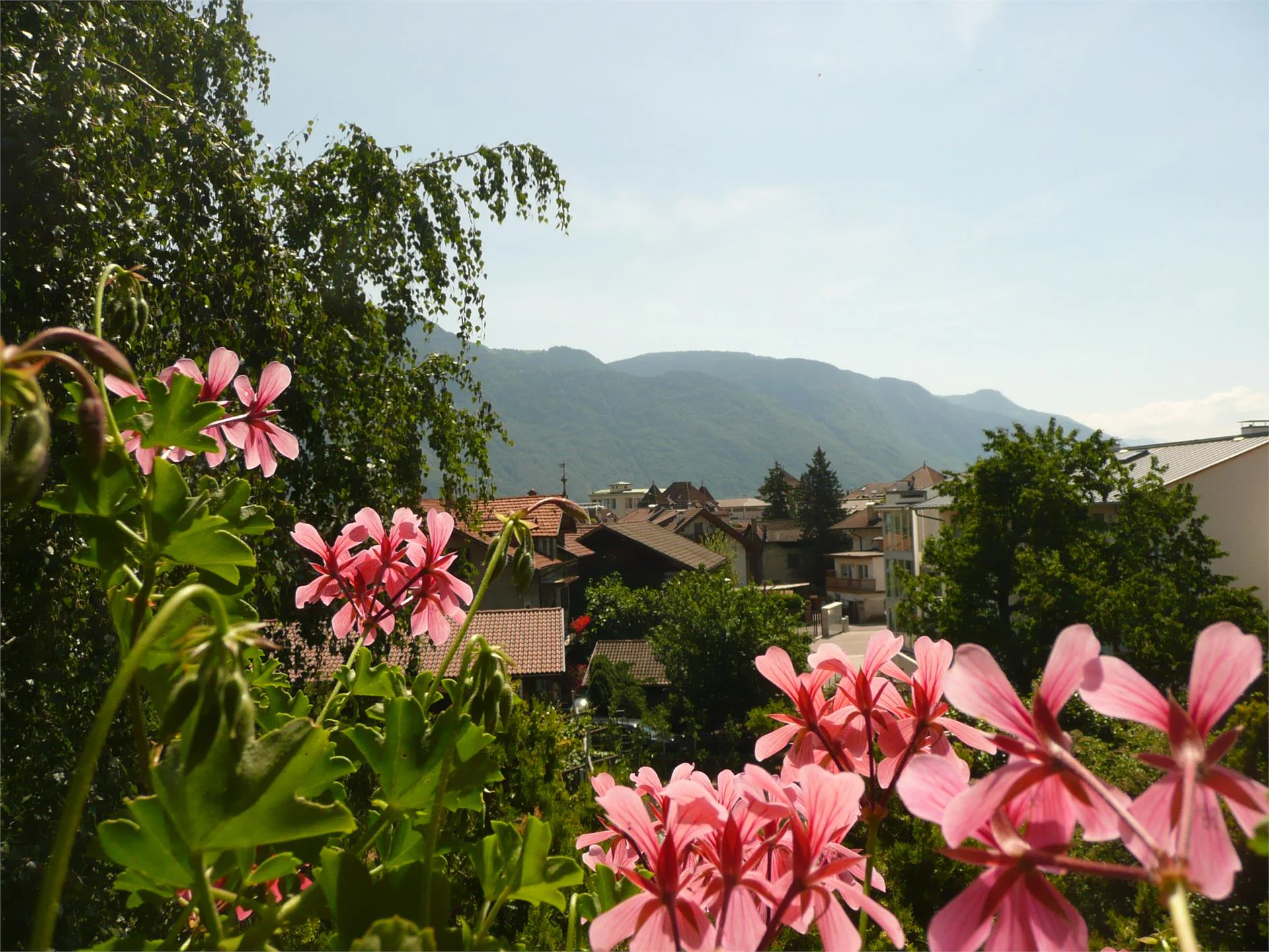 Apartement Lanz Lana 8 suedtirol.info