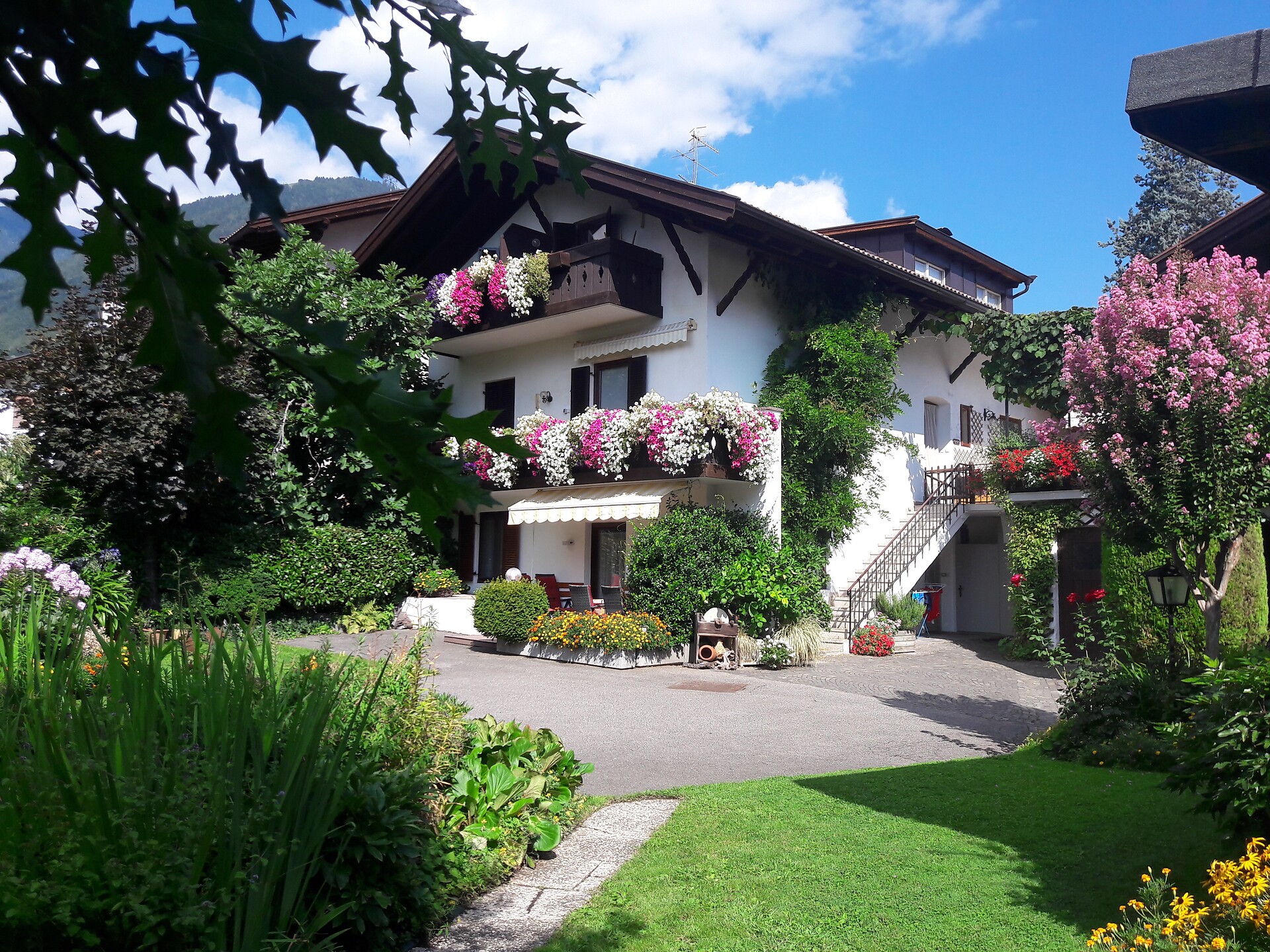 House view from the garden