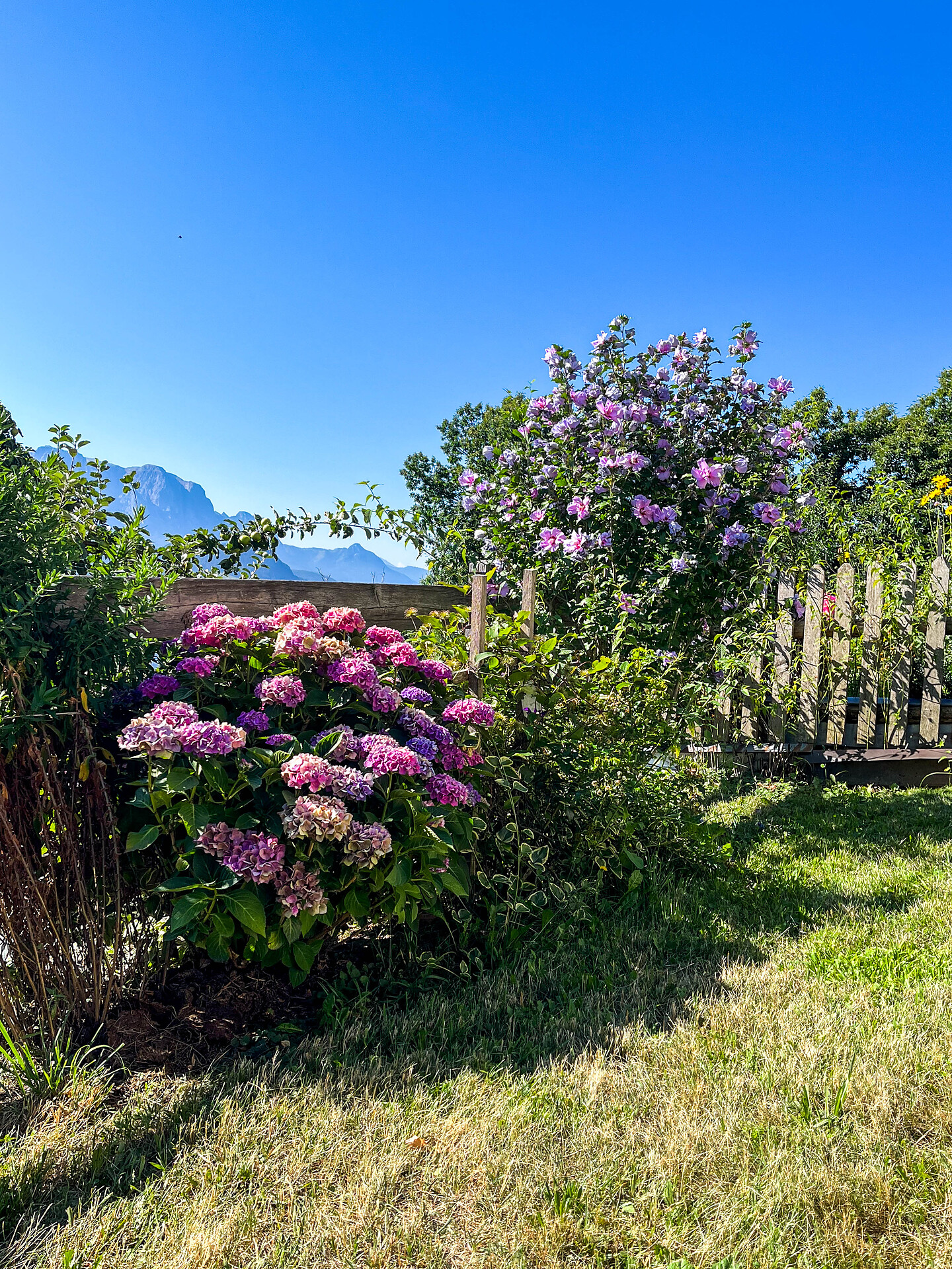 Gartenparadies mit Dolomitenblick