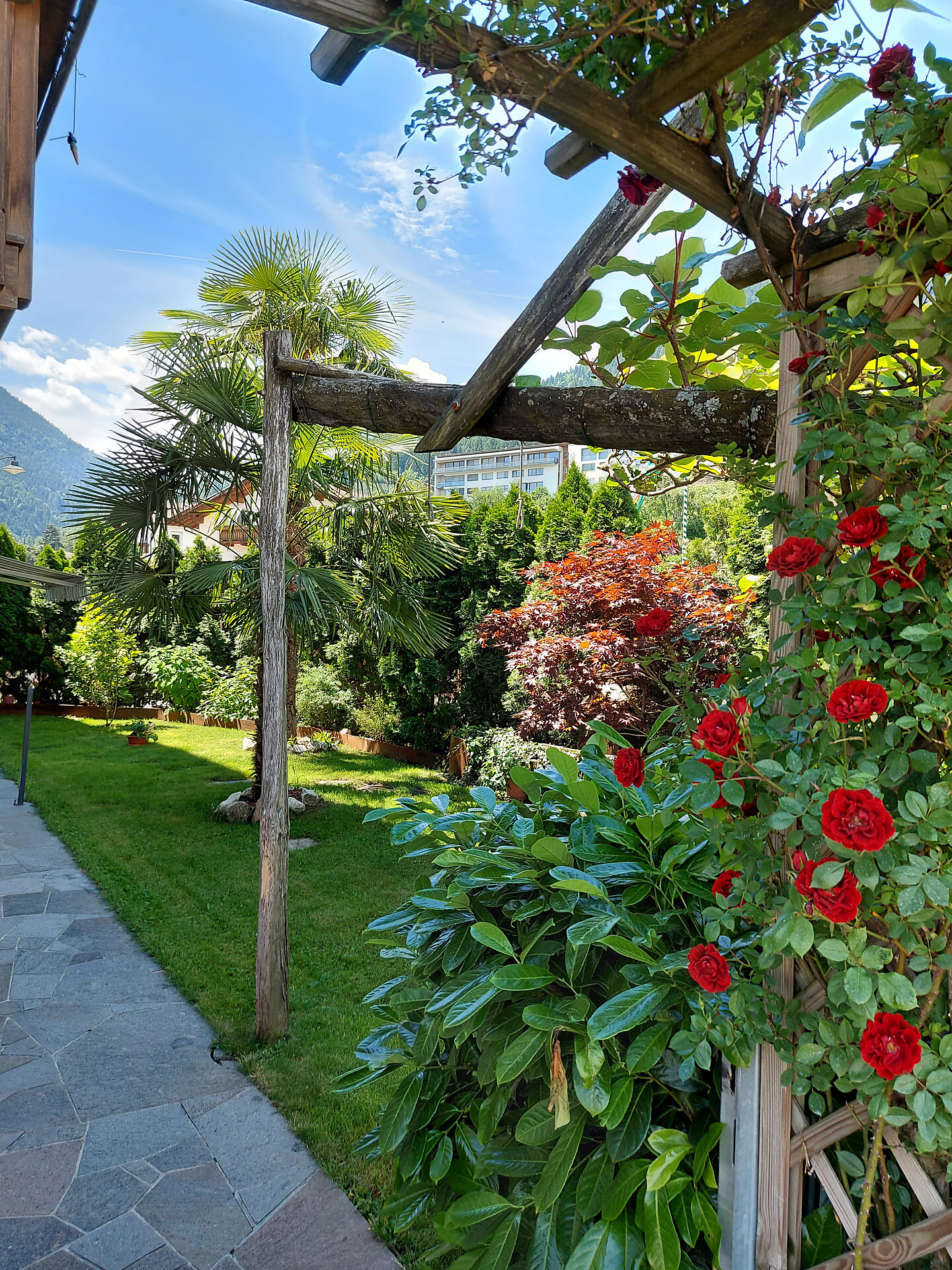 terrazza