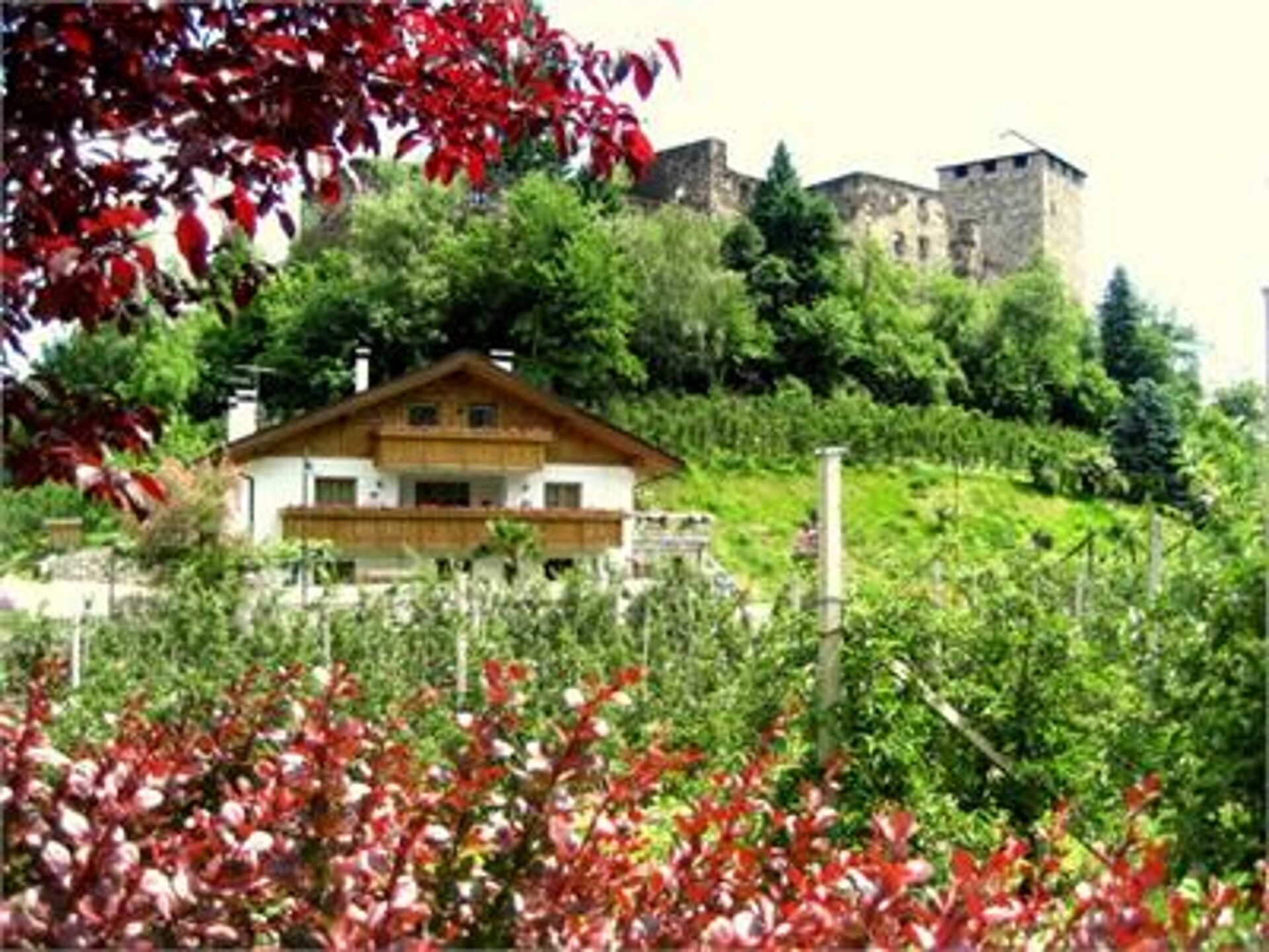 Appartamenti Turmwirt Lana 1 suedtirol.info