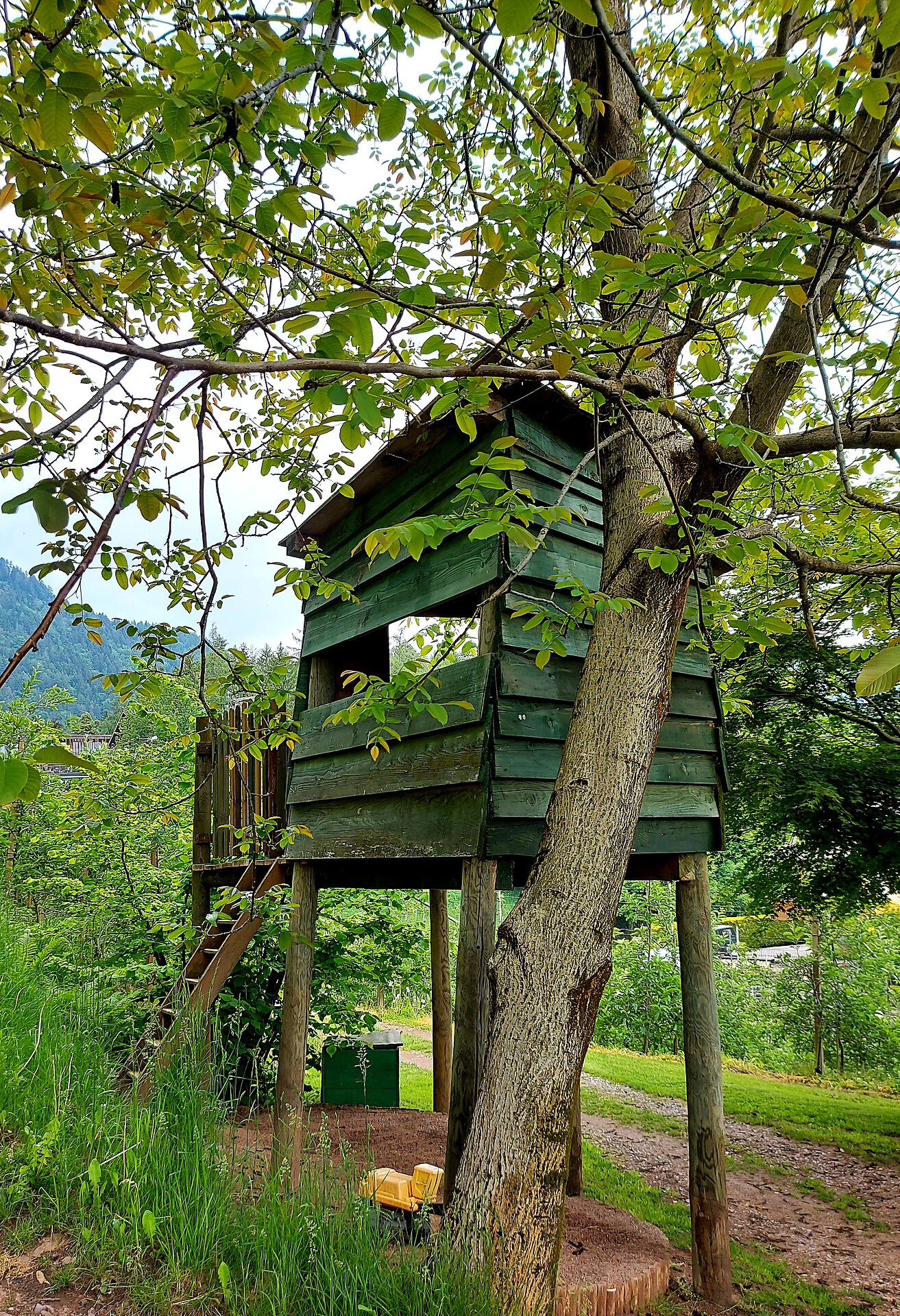 giardino