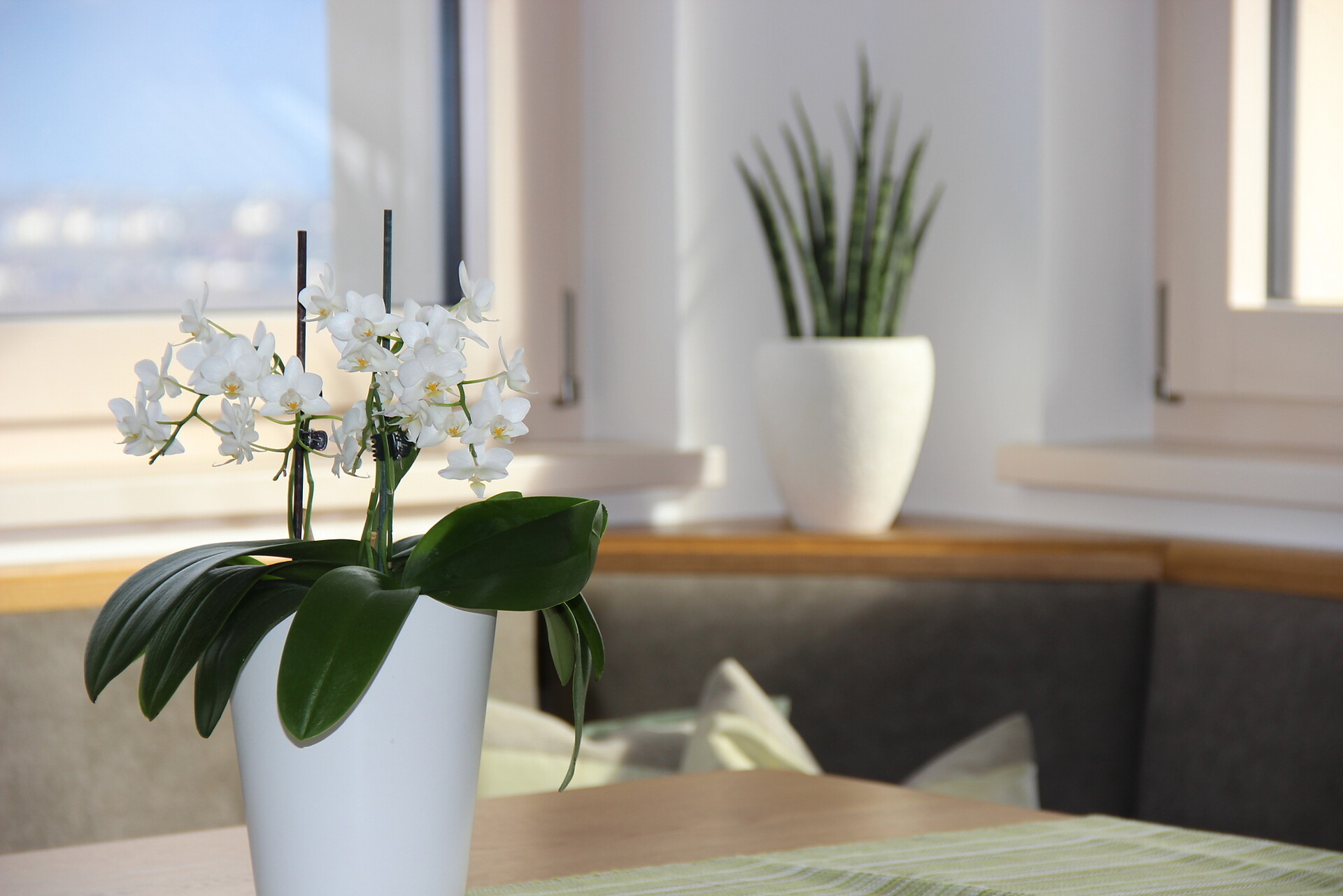Ferienwohnung Haas Eppan an der Weinstraße 4 suedtirol.info