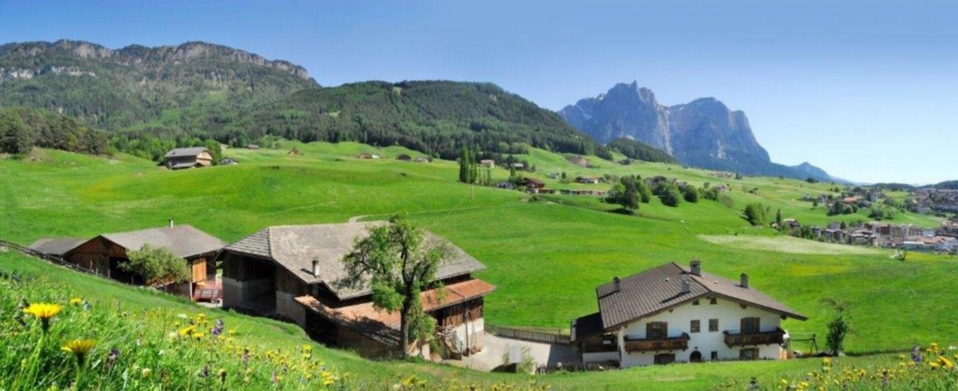 Vista