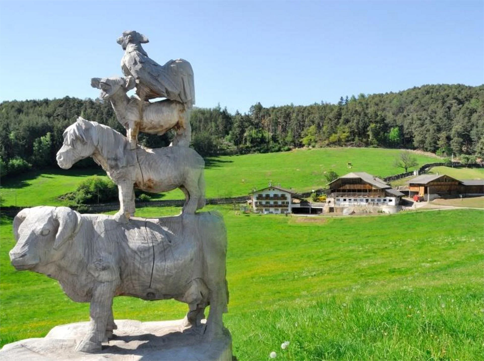 Maso Feger Castelrotto 3 suedtirol.info