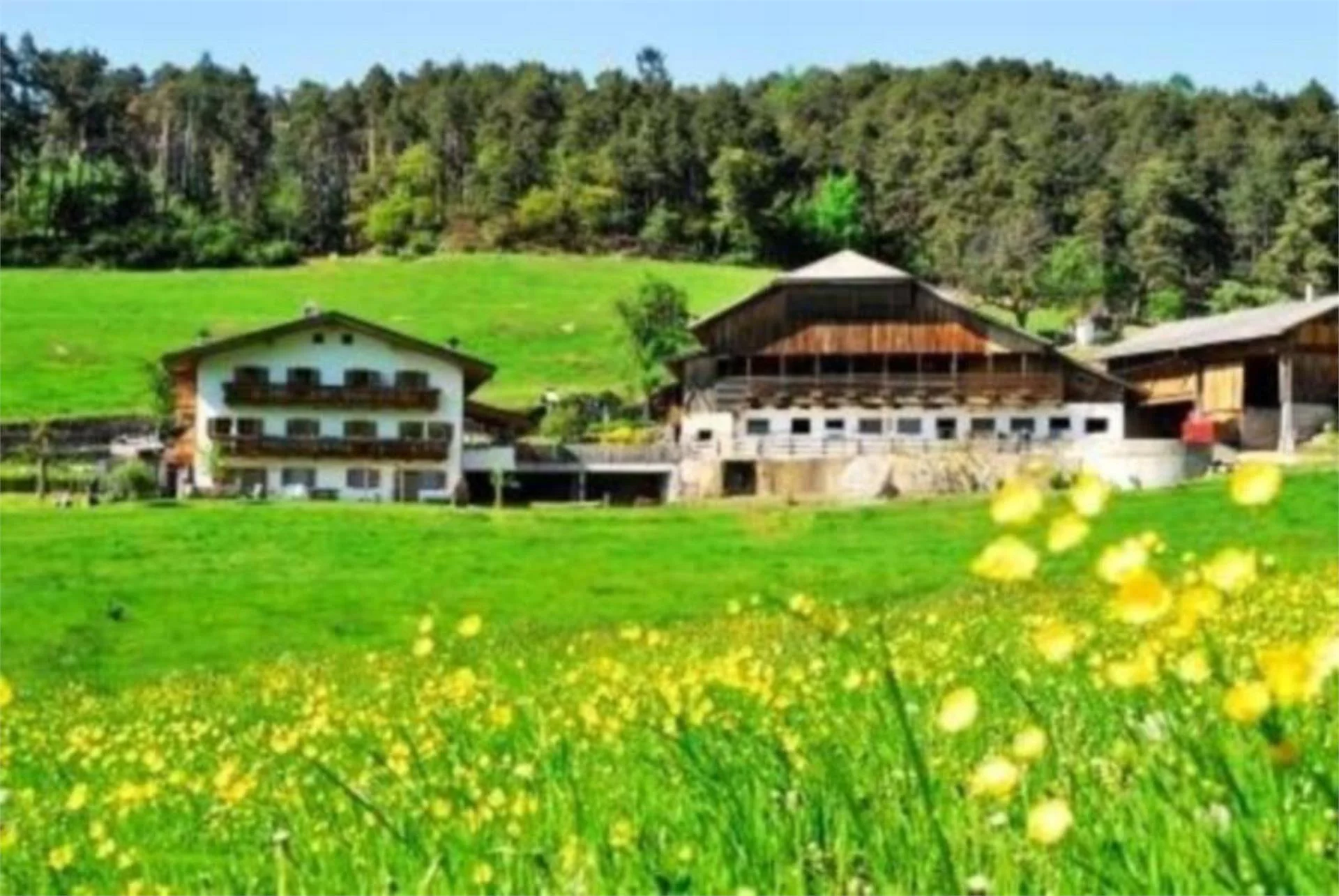 Maso Feger Castelrotto 2 suedtirol.info