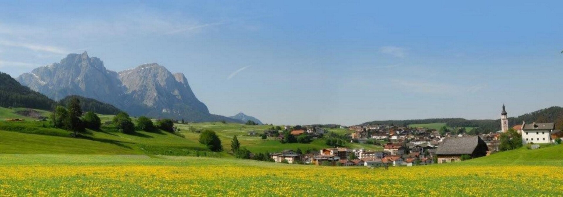 Vista