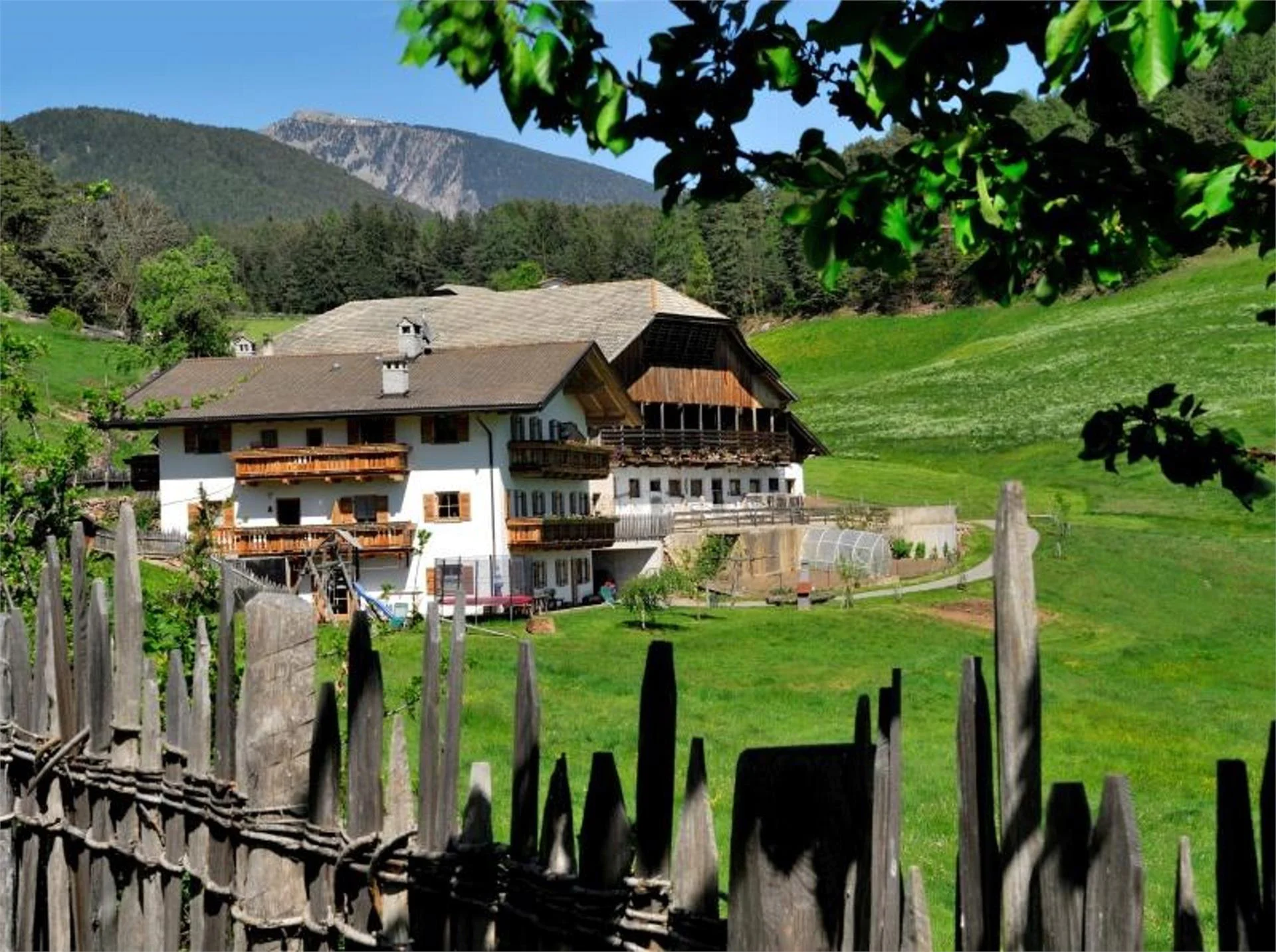 Maso Feger Castelrotto 9 suedtirol.info