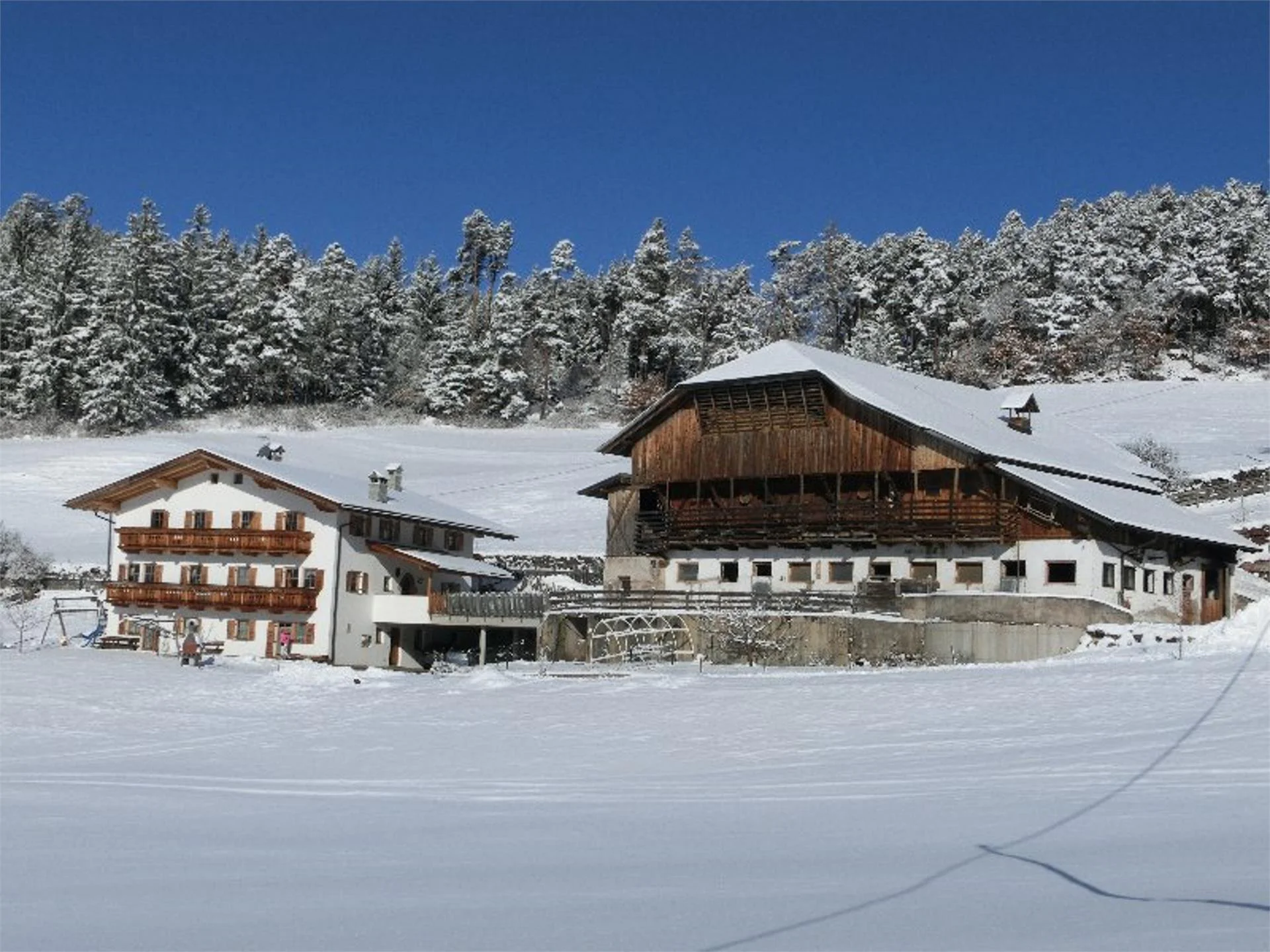 Maso Feger Castelrotto 1 suedtirol.info