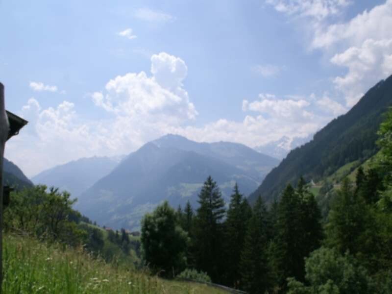 Vista