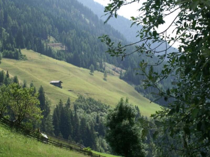 Vista
