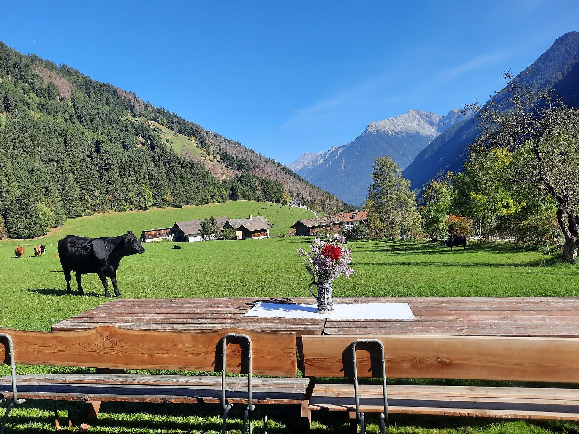 Ferienhaus Oberschneider Mühlwald/Selva dei Molini 6 suedtirol.info