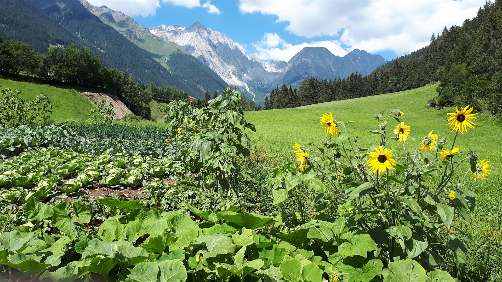 Appartamenti Dorfmüllerhof Rasun Anterselva 17 suedtirol.info