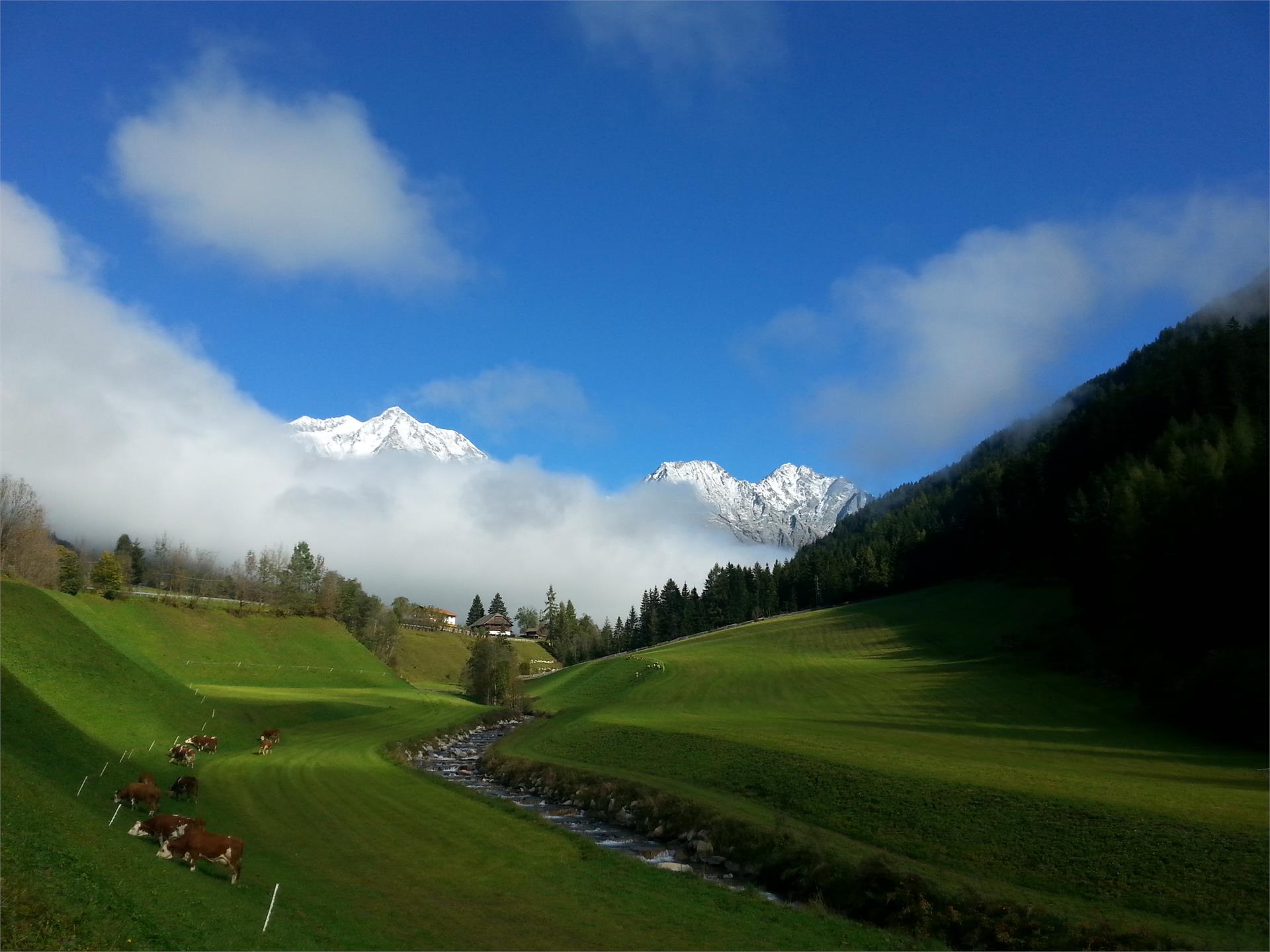 Appartamenti Dorfmüllerhof Rasun Anterselva 11 suedtirol.info