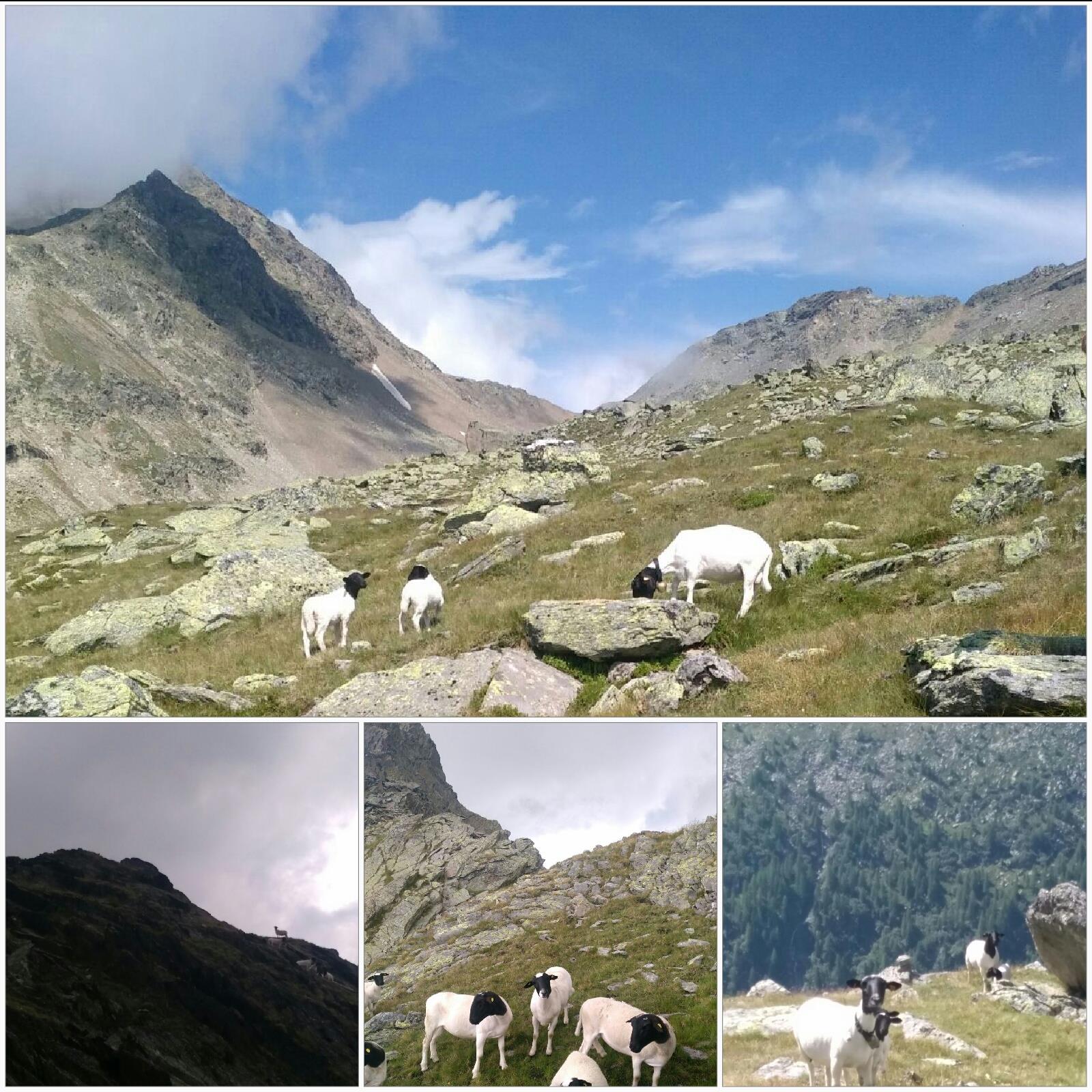 Appartamenti Dorfmüllerhof Rasun Anterselva 20 suedtirol.info