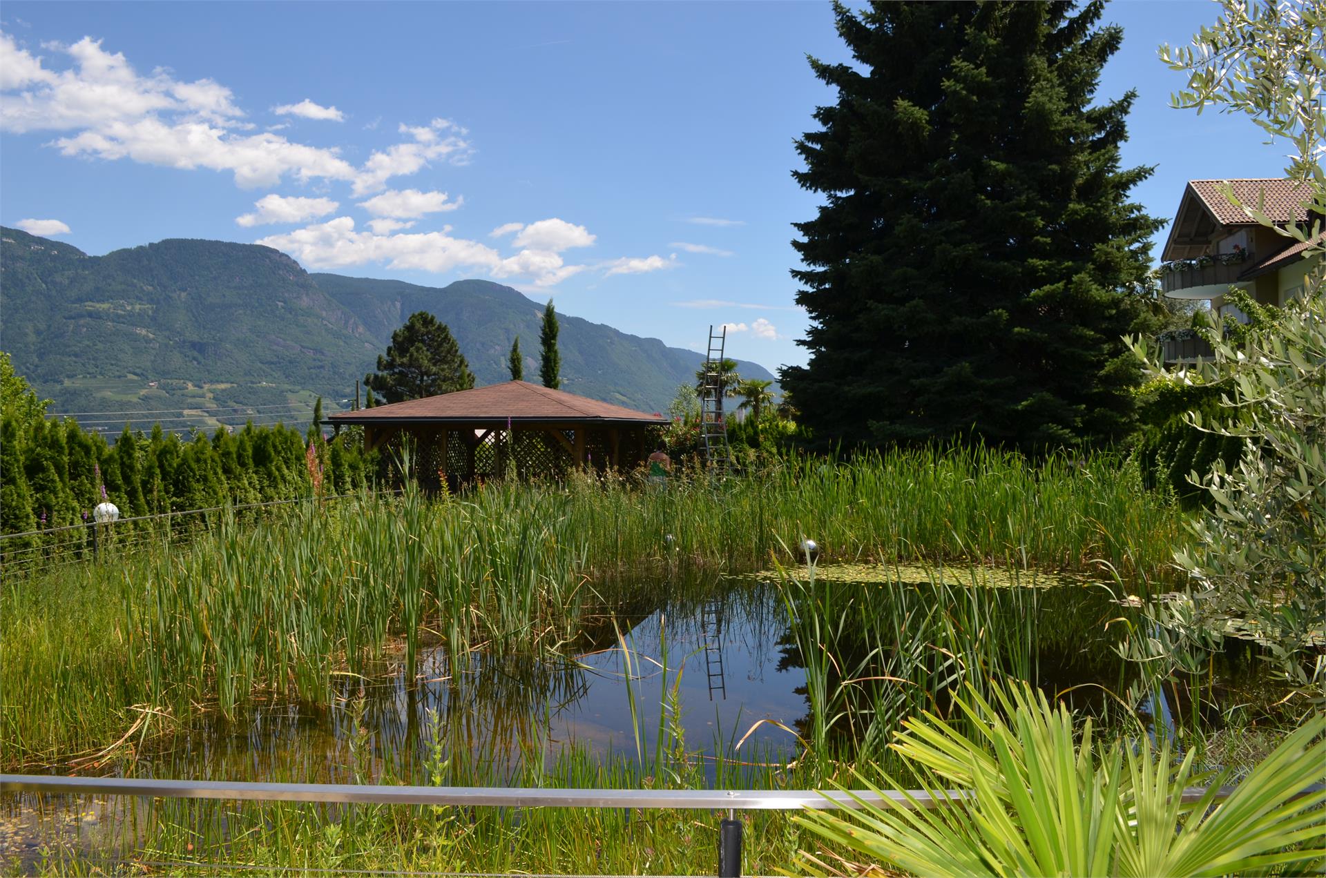 Faselehof Marling 19 suedtirol.info