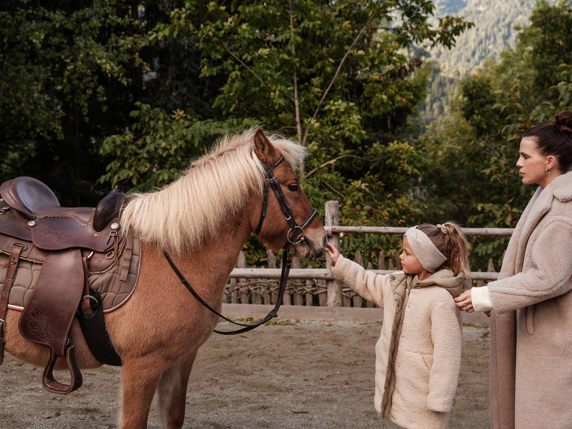Pony Sonnwies