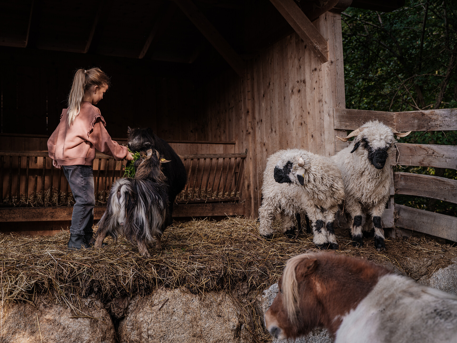 Farm Sonnwies