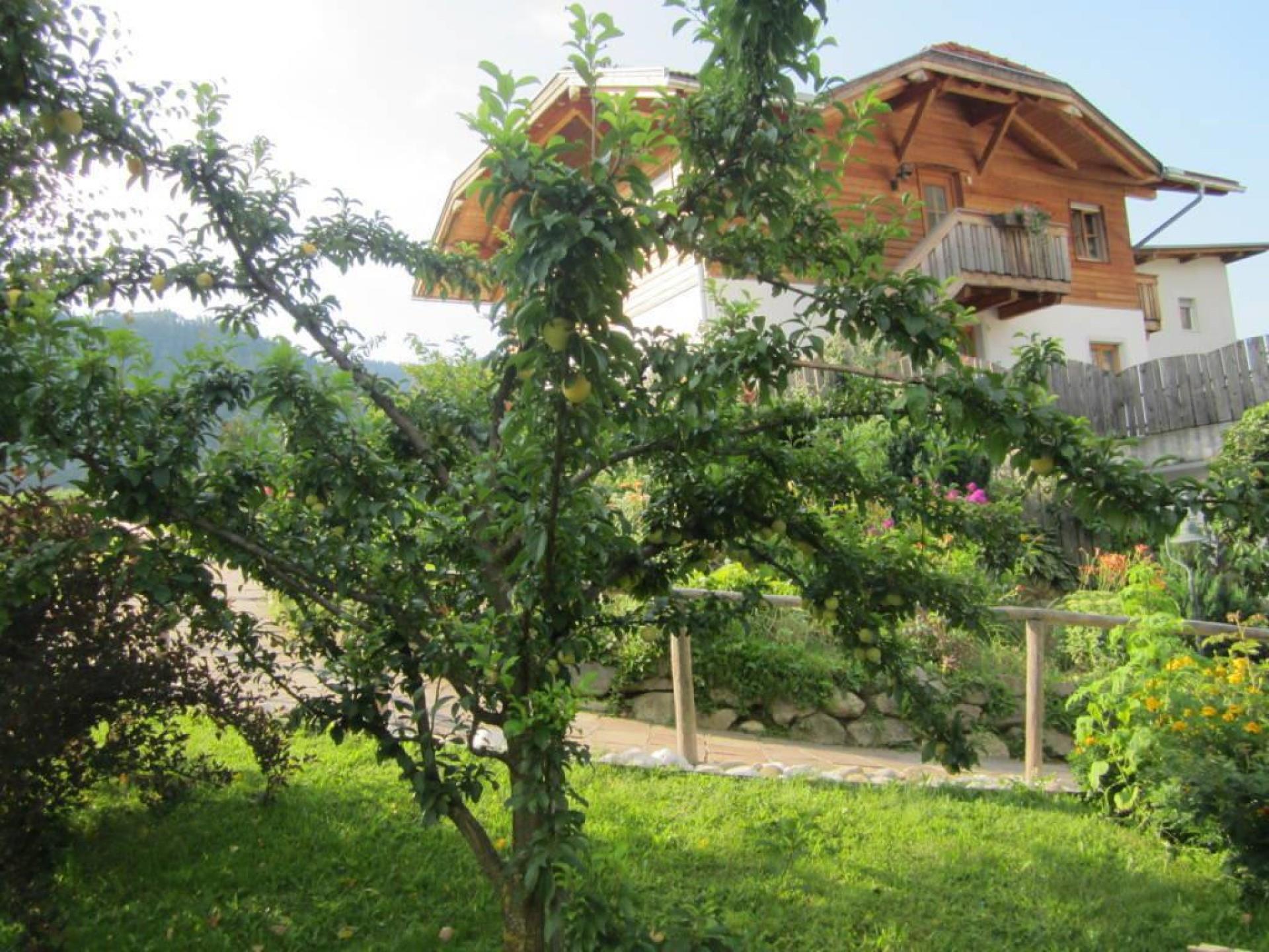 FW Ortnerhof Gais 9 suedtirol.info