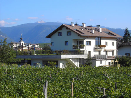 Appartments Cornaiano - Tollhof Eppan an der Weinstaße/Appiano sulla Strada del Vino 1 suedtirol.info