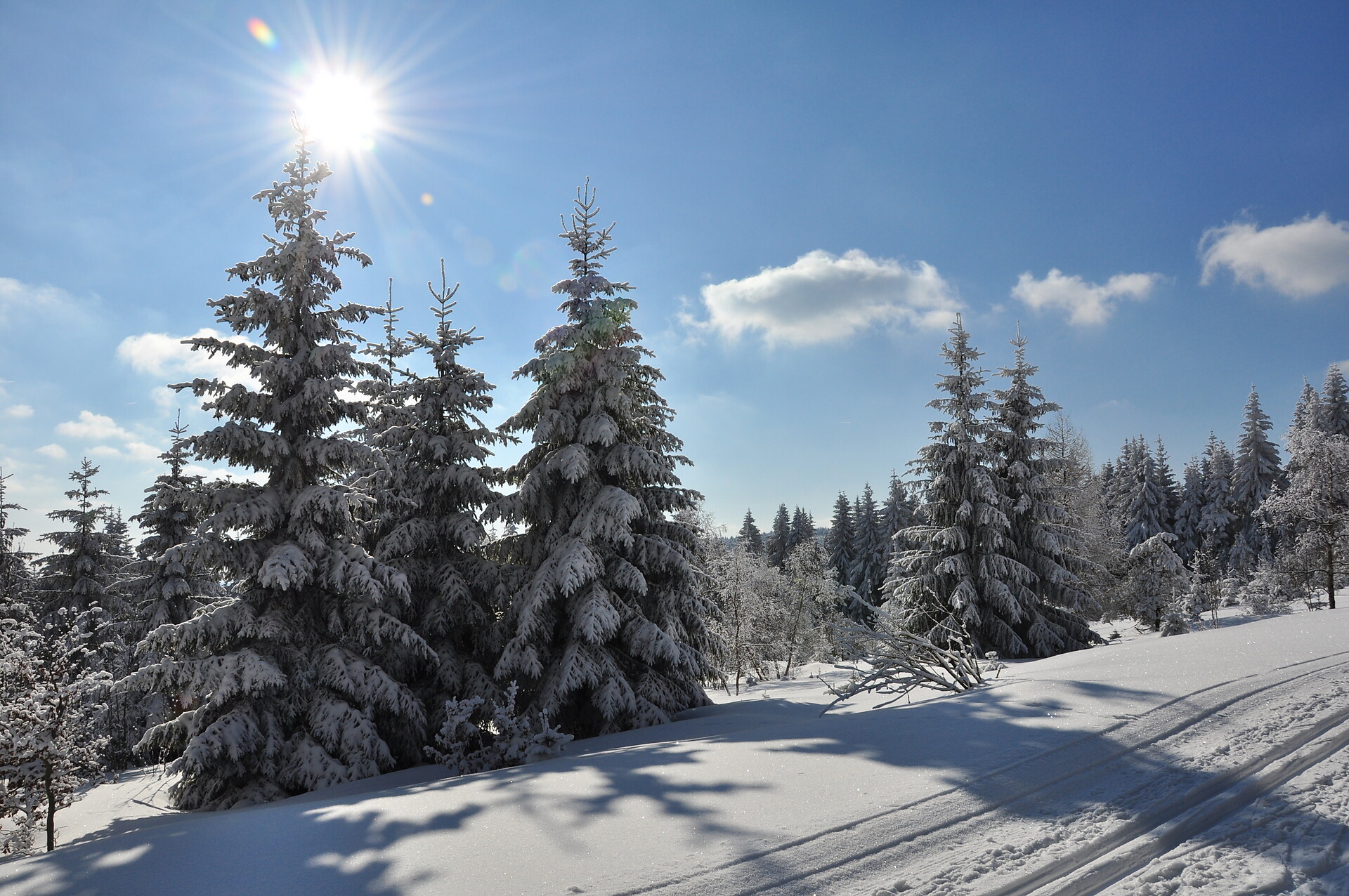 Winter