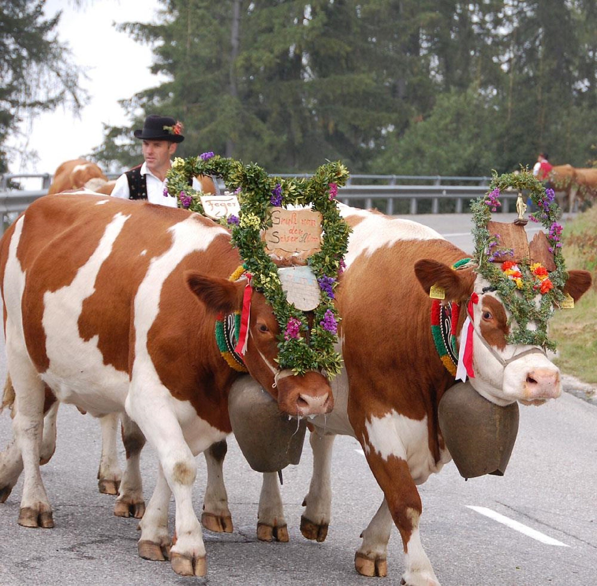 Almabtrieb