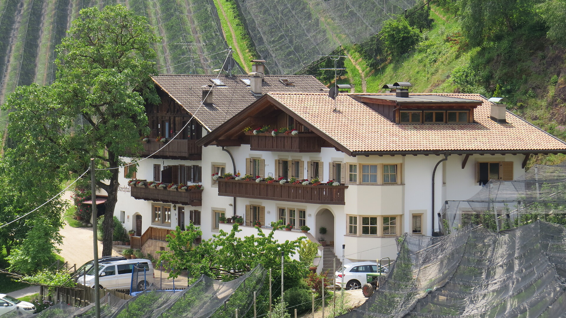 View