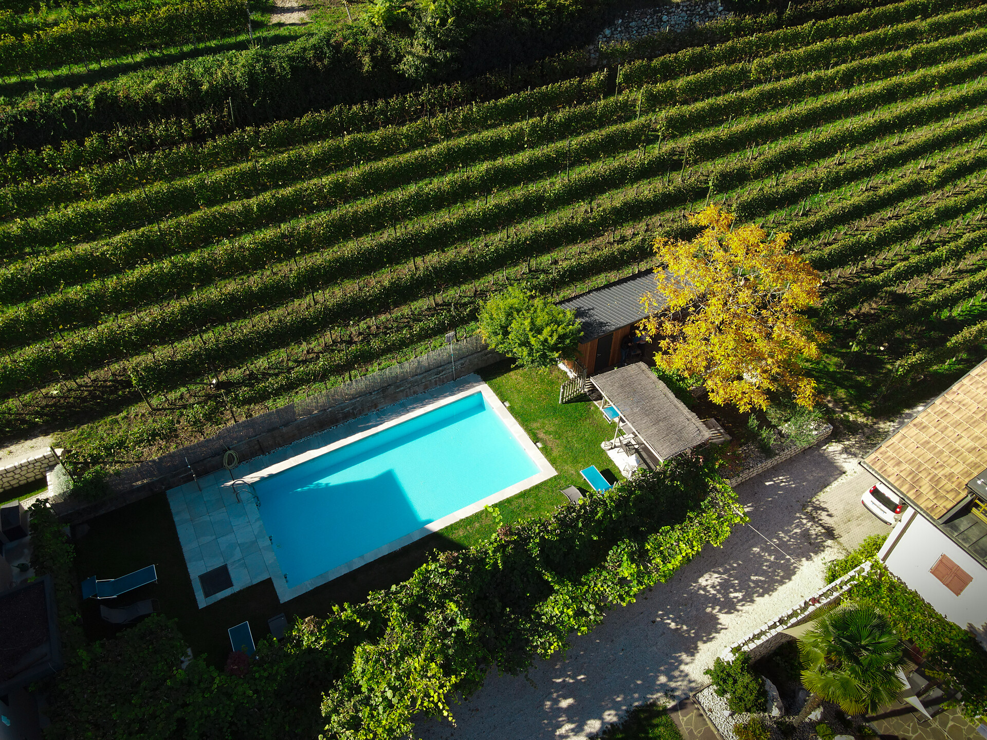 Apartments Terzer Juliane Kurtatsch an der Weinstraße/Cortaccia sulla Strada del Vino 22 suedtirol.info